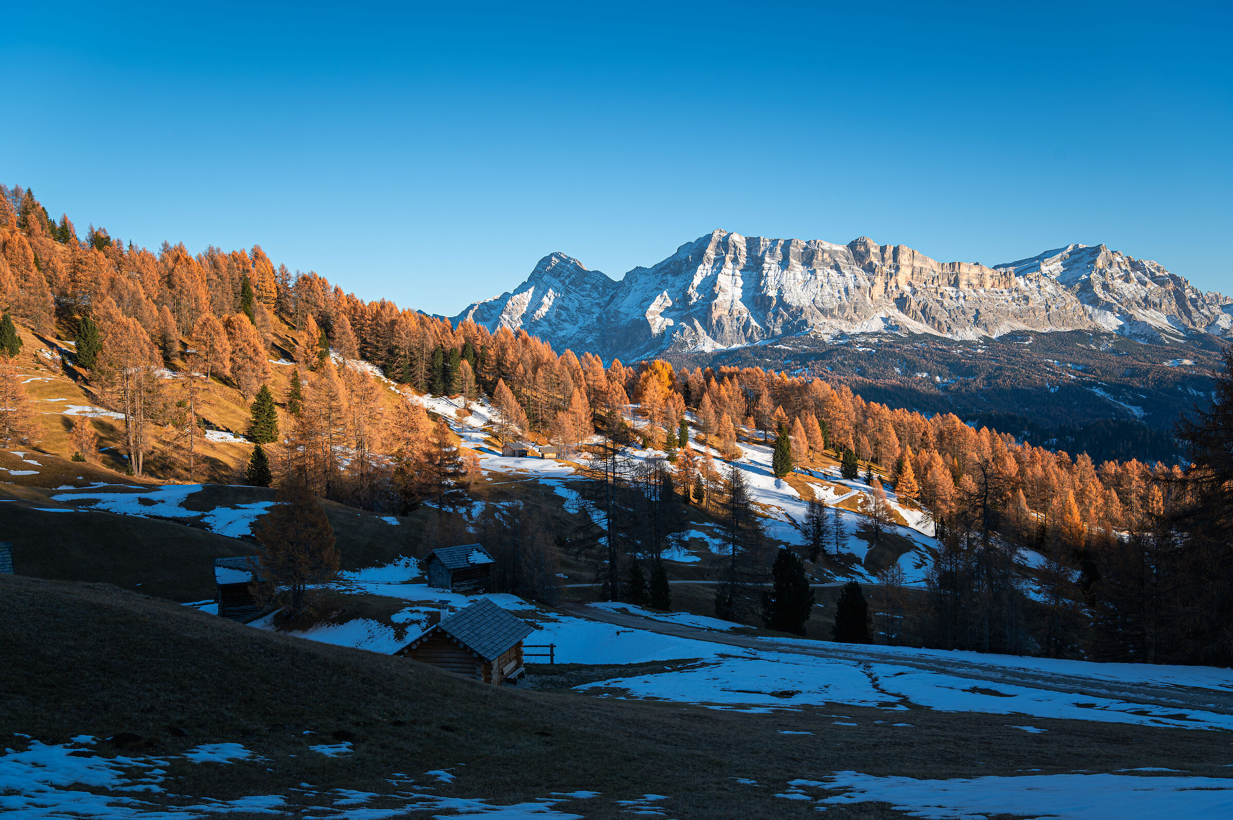 The magical colors of autumn