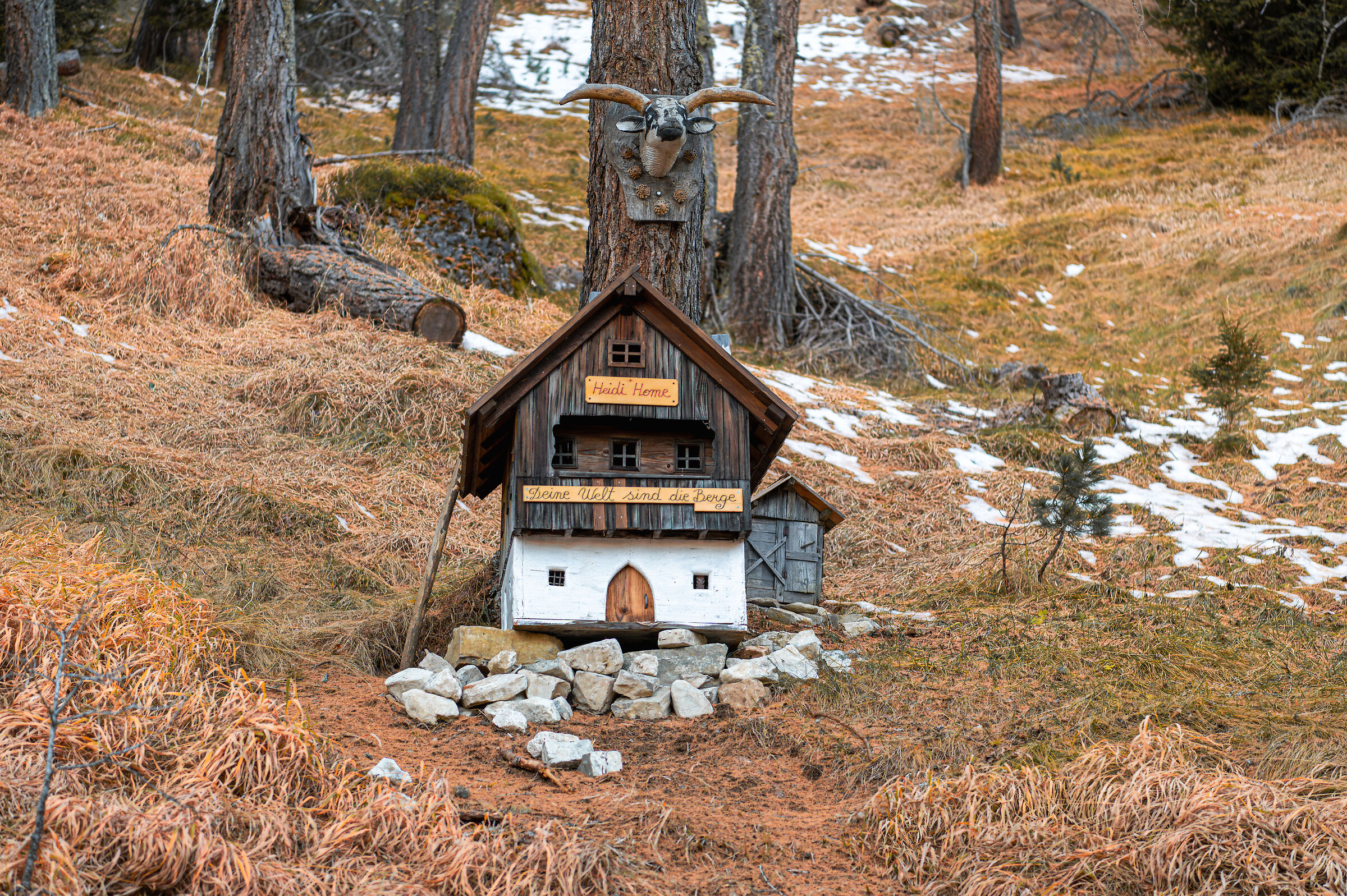 Heidi's house in the Dolomites