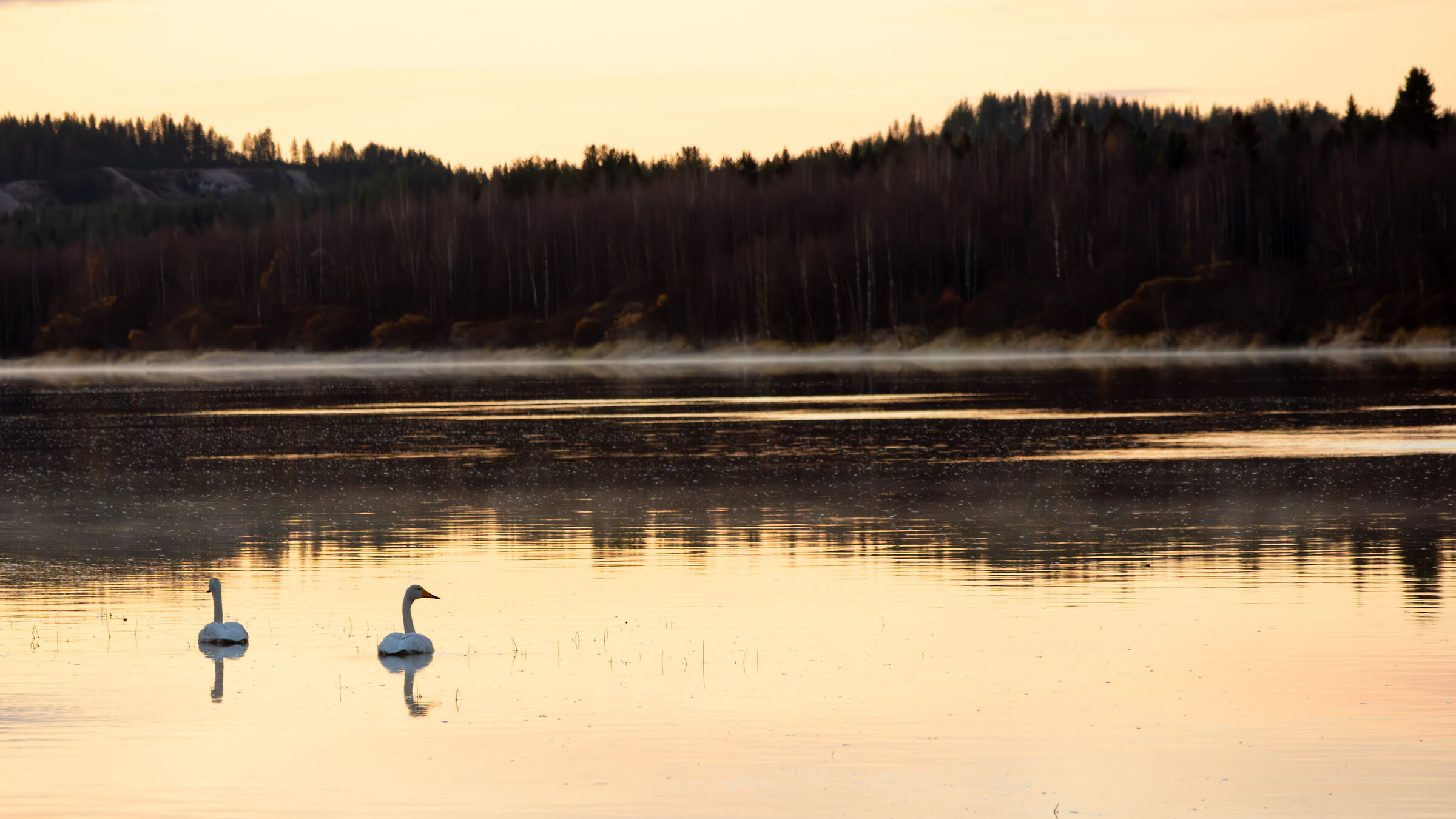 Sunrise (Kemijoki River)