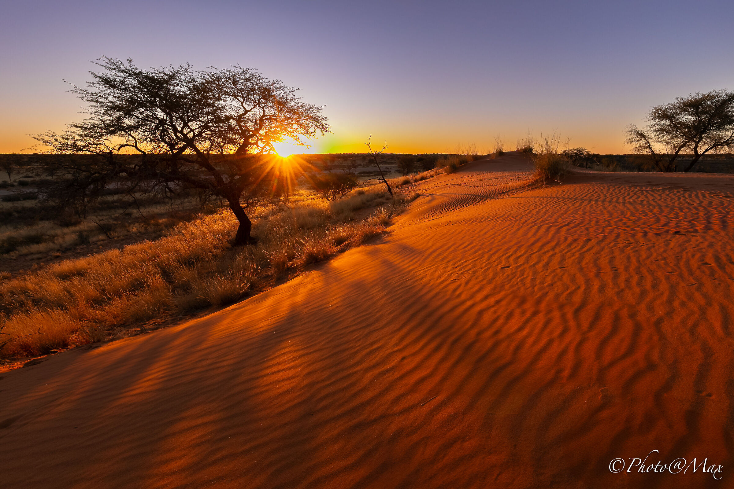 Sunset over the Kalahari desert