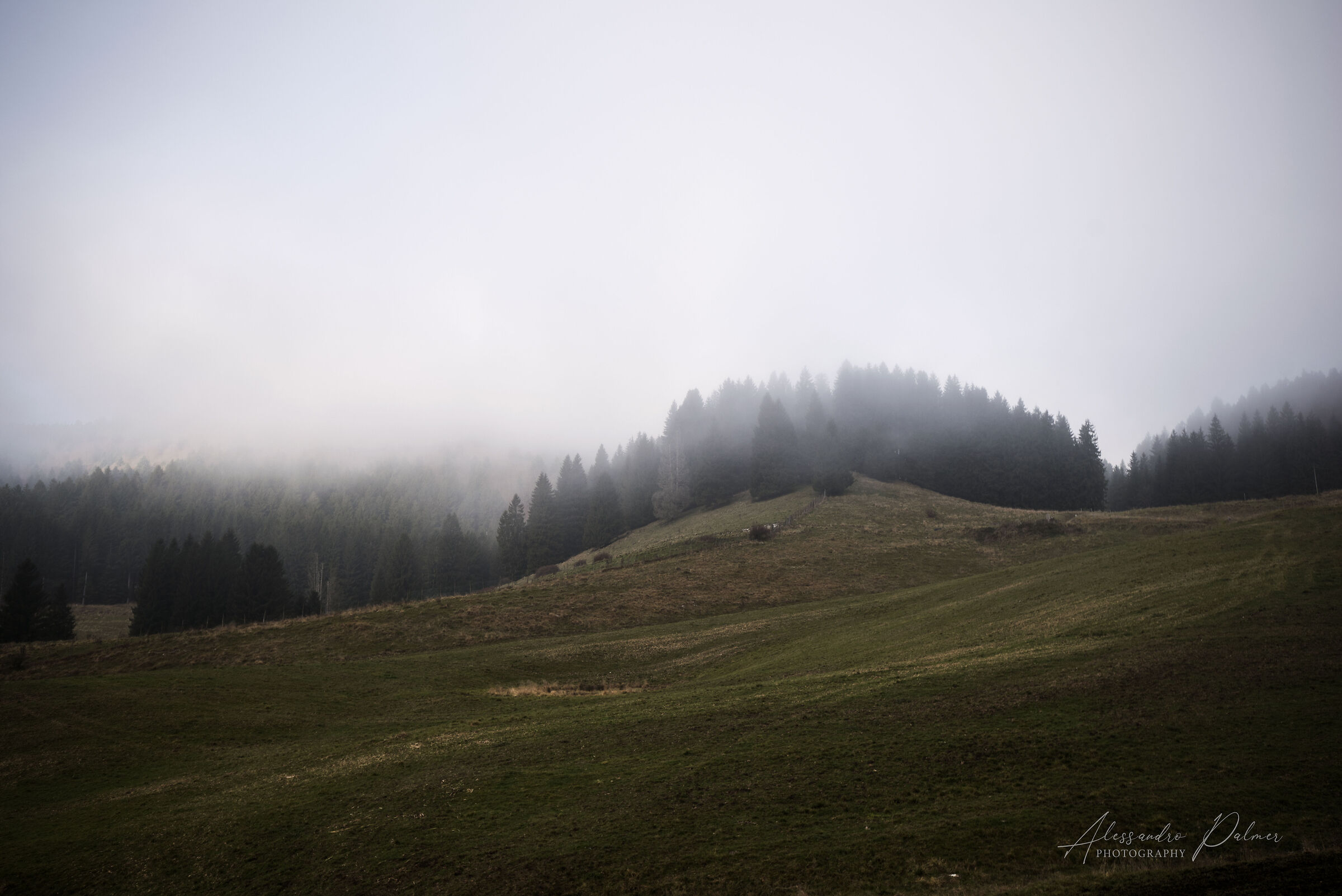 The fog of the plain