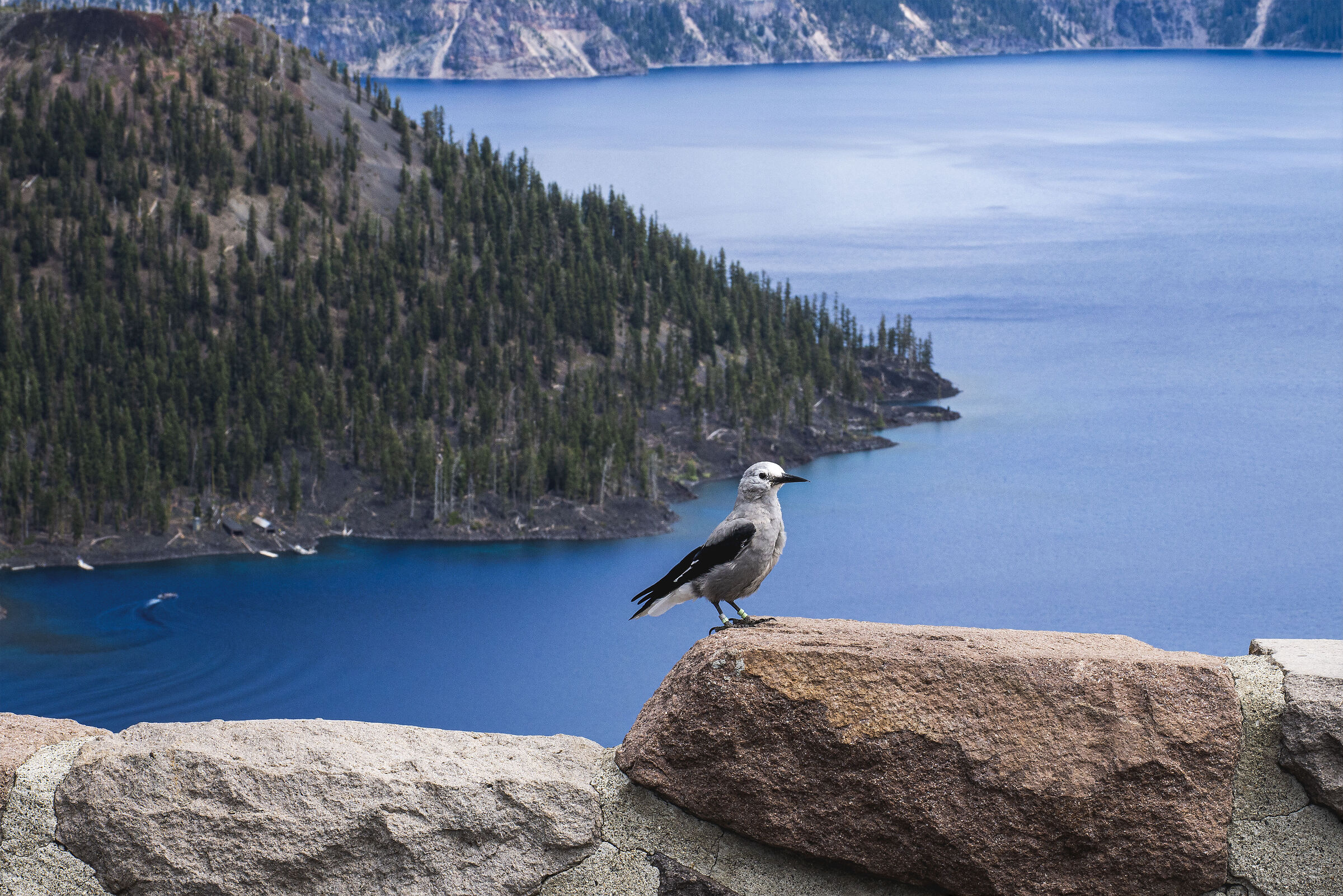 Crater Lake National Park