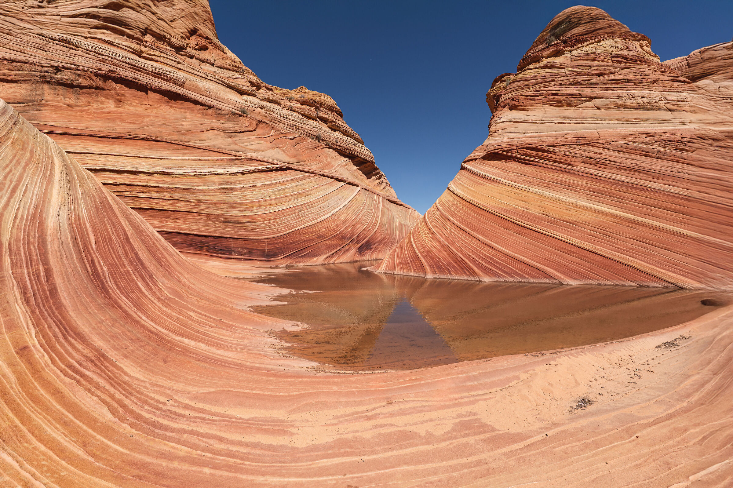Coyote Buttes North "The wave"