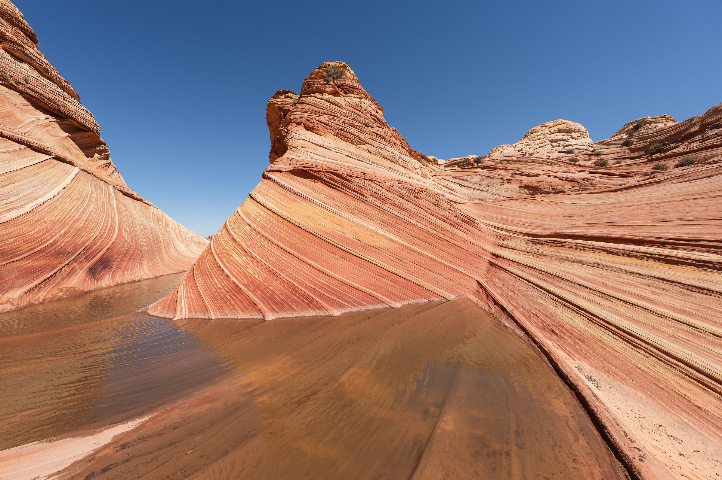 Coyote Buttes North - The Wave