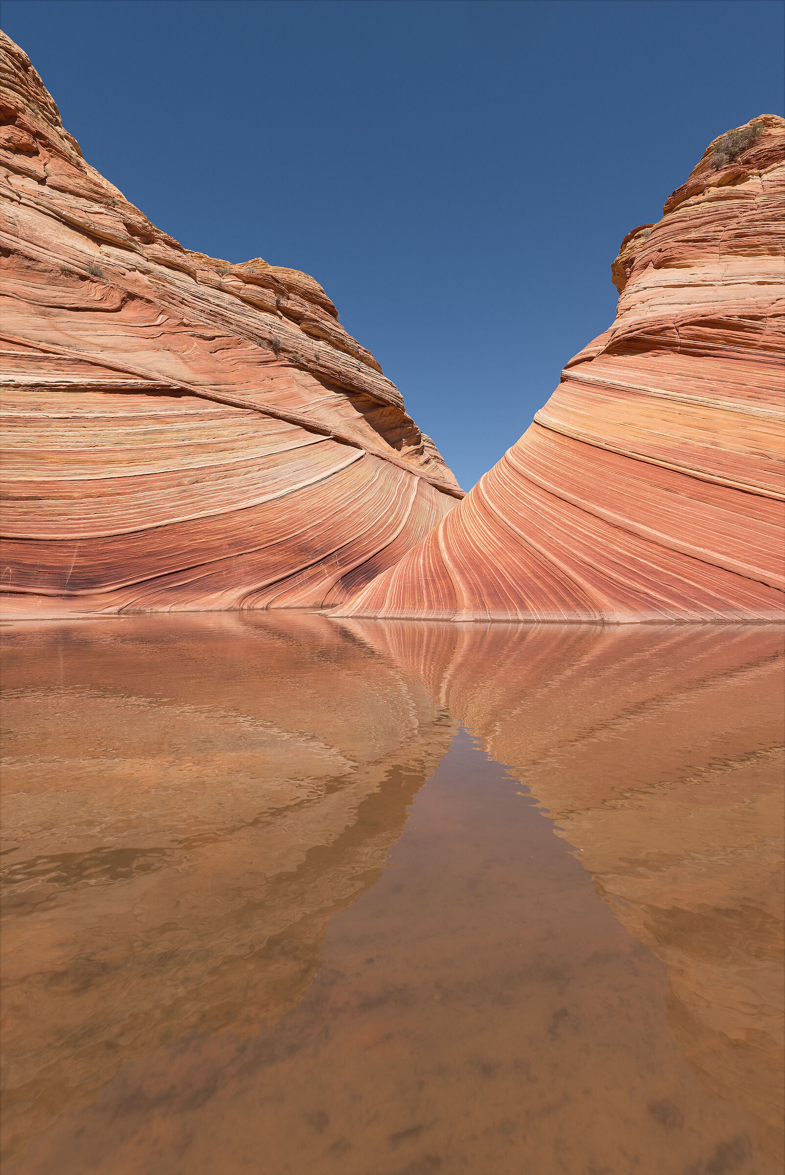 Coyote Buttes North - The Wave