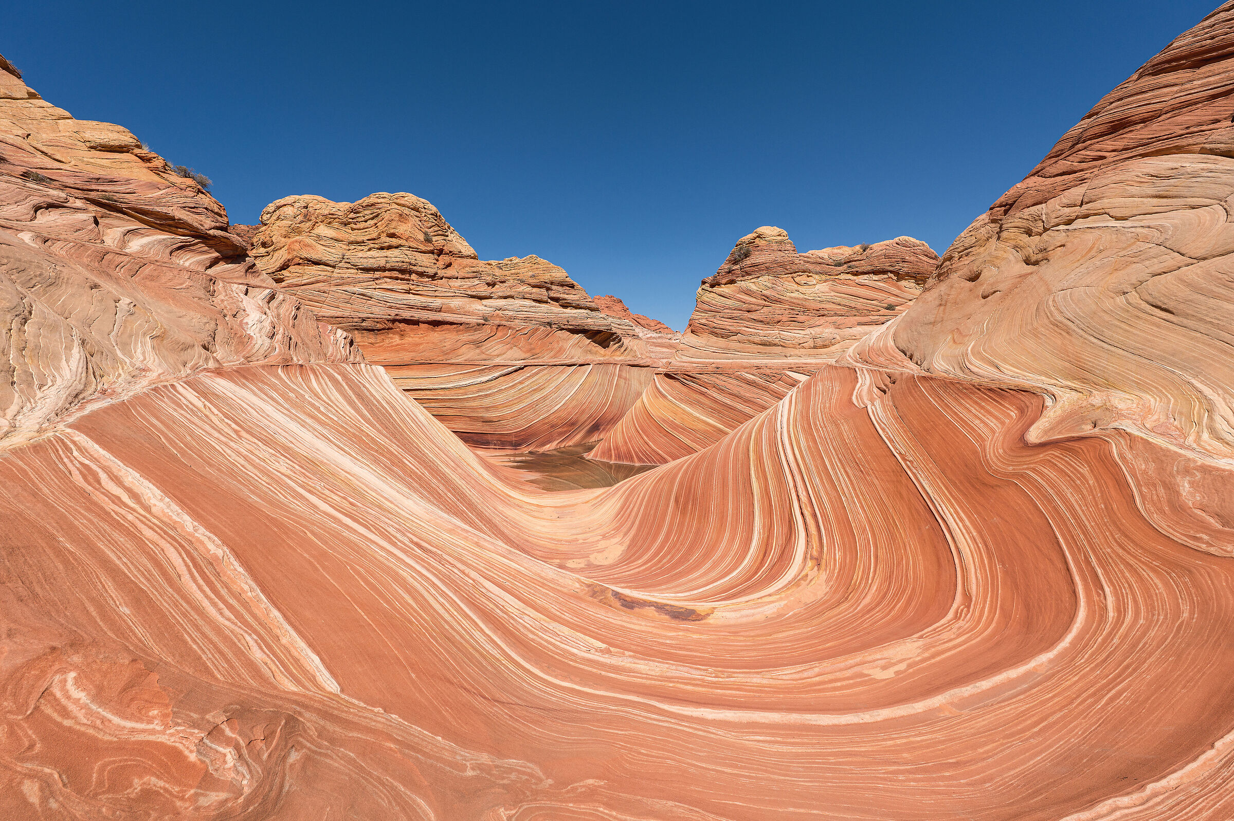 Coyote Buttes North - The Wave