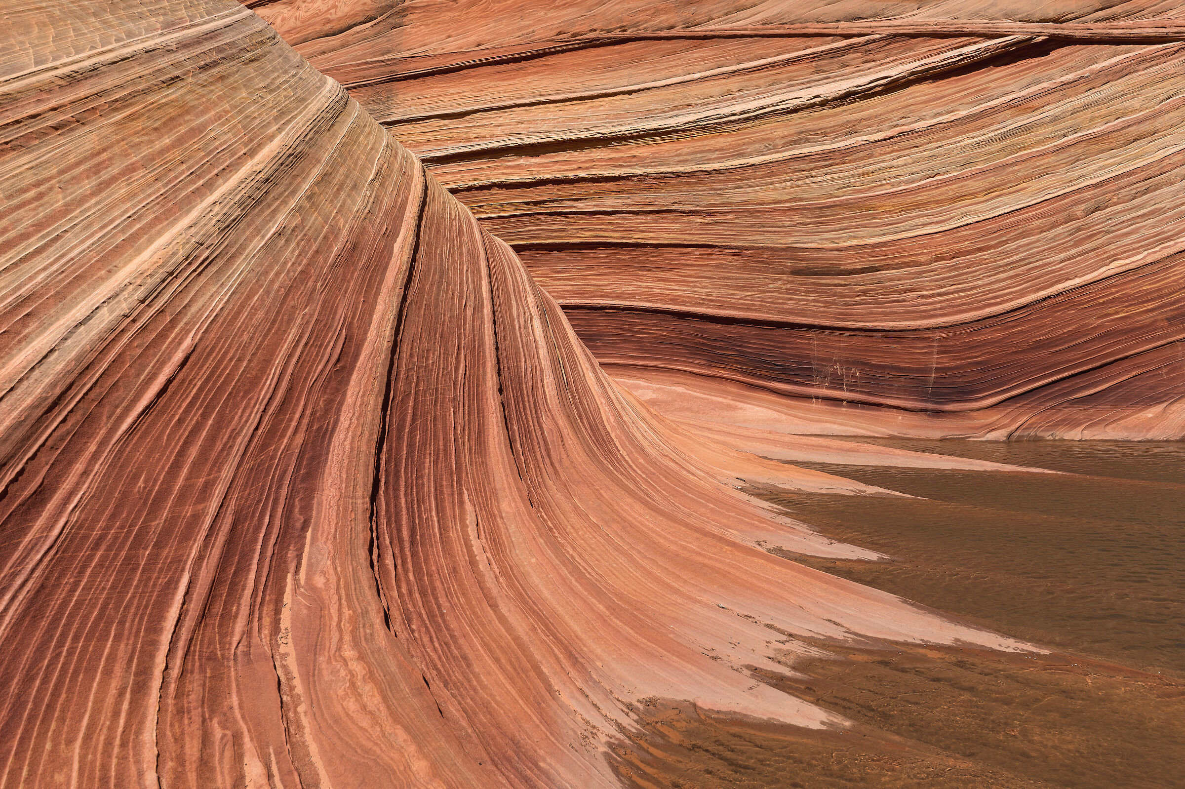 Coyote Buttes North - The Wave