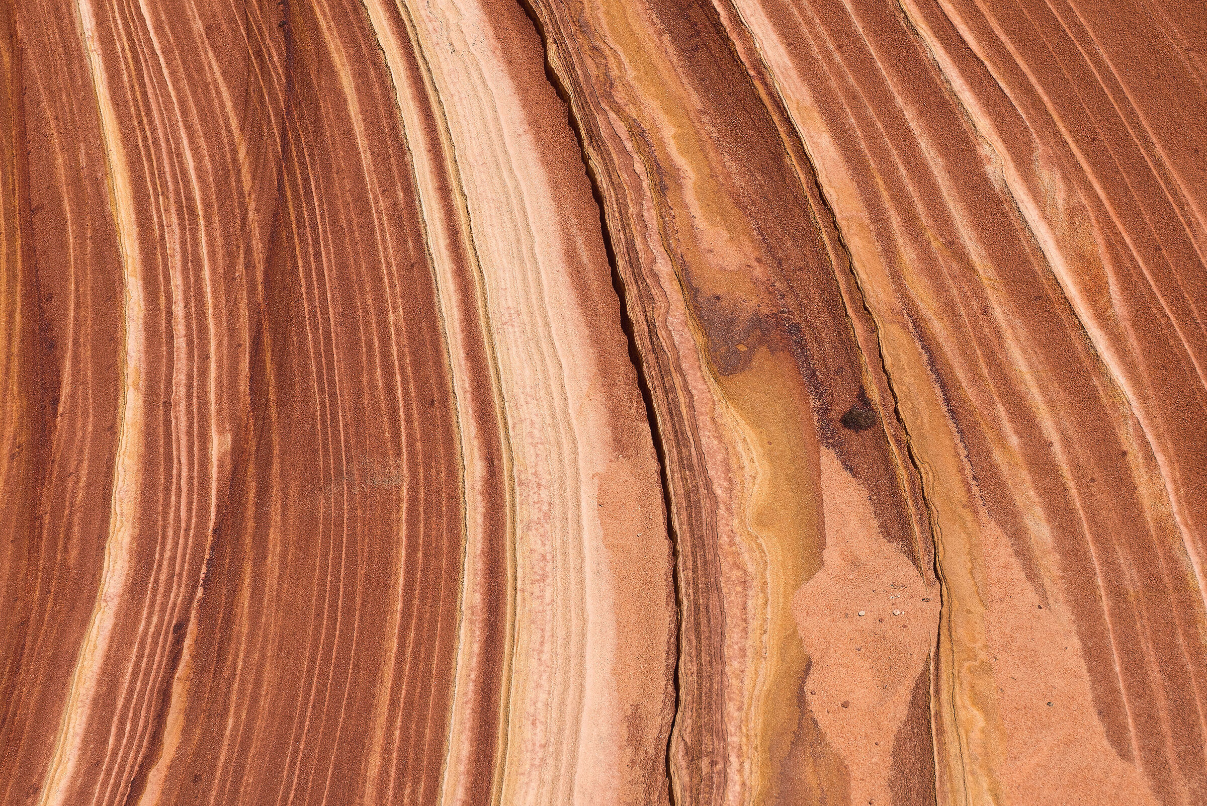 Coyote Buttes North -