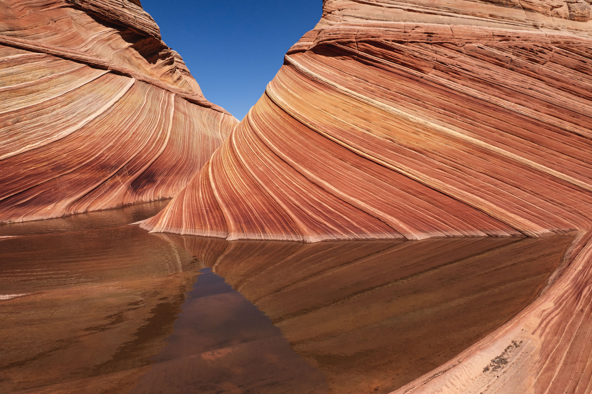 Coyote Buttes North - The Wave