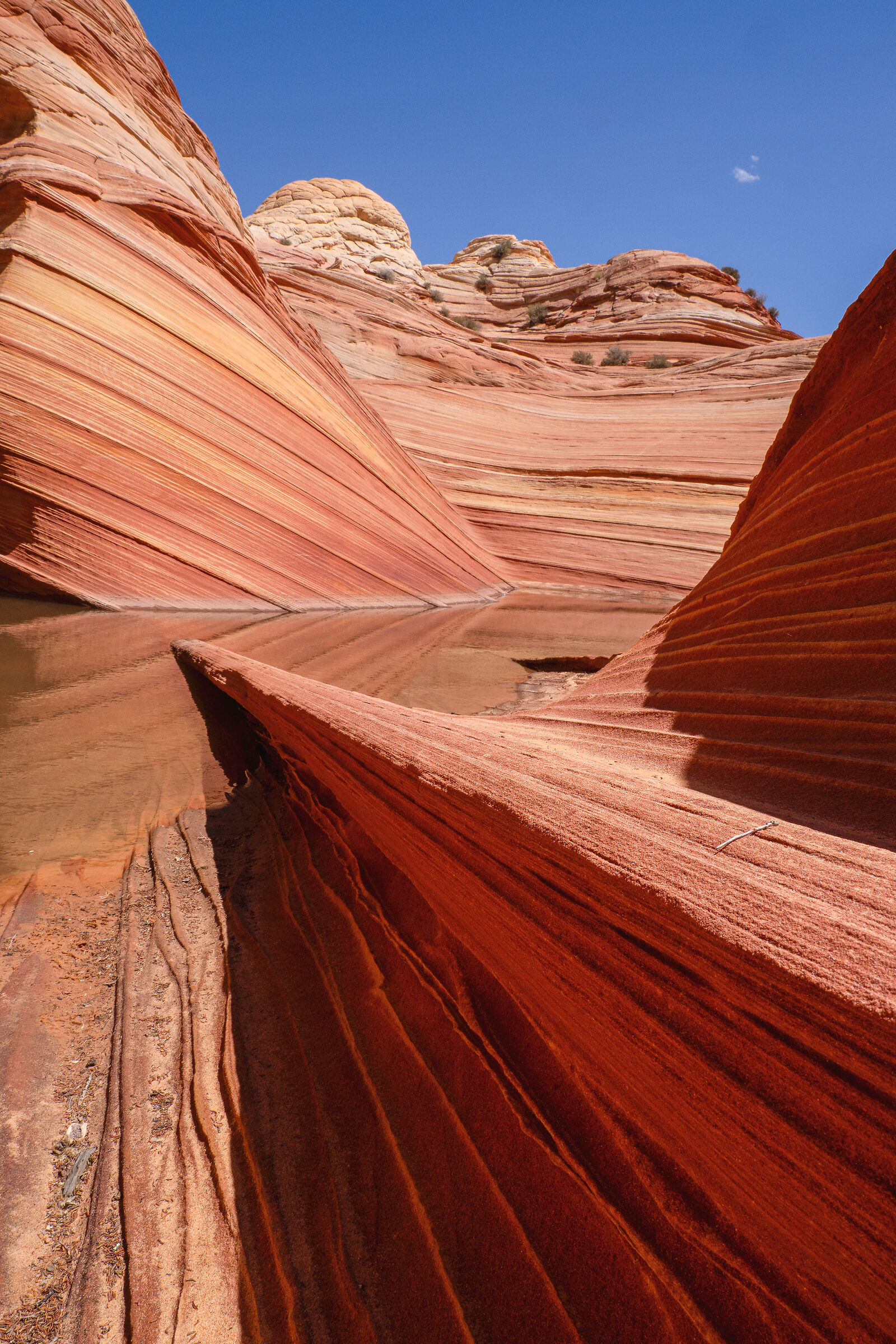 Coyote Buttes North - The Wave