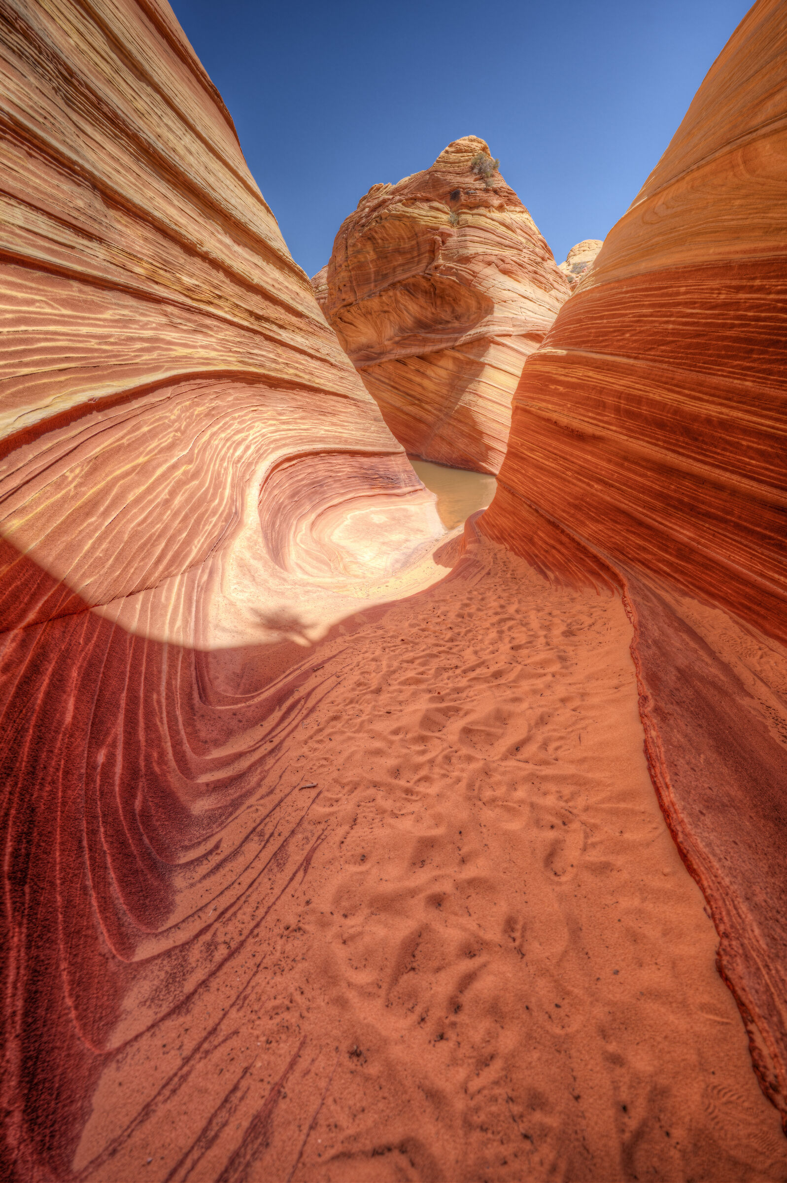Coyote Buttes North - The Wave