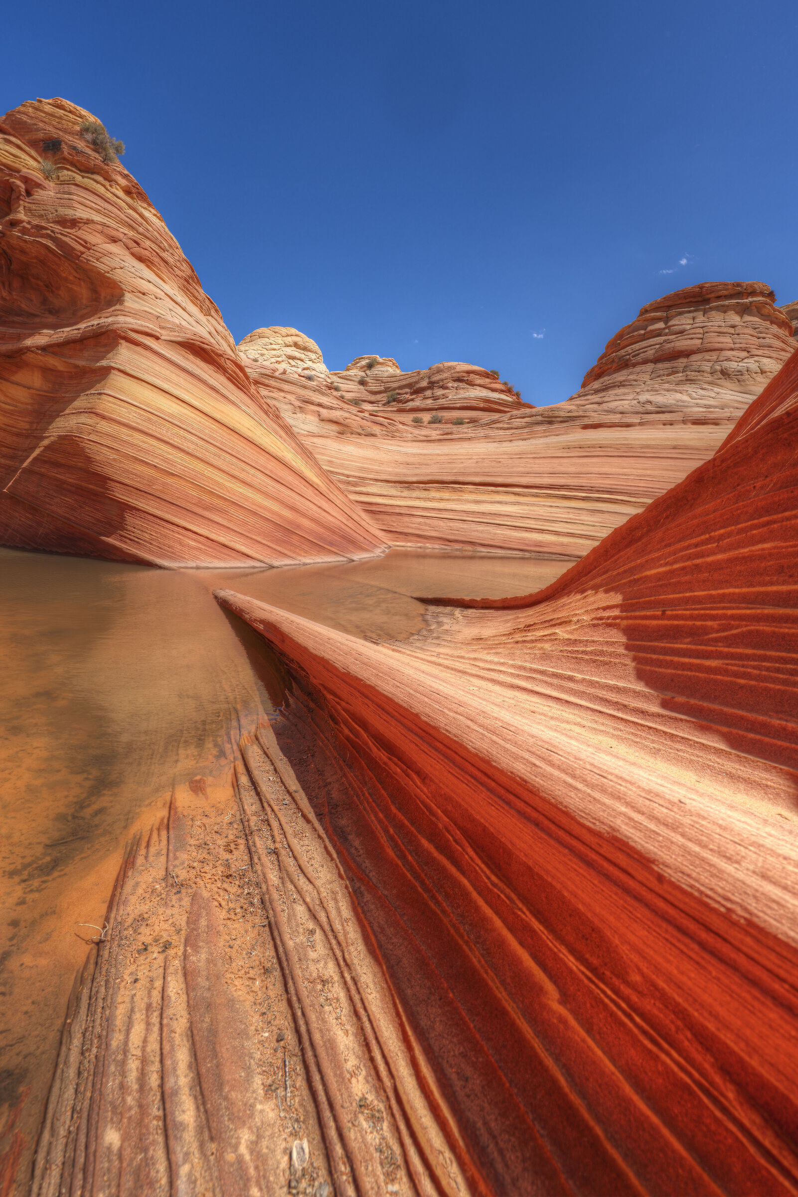 Coyote Buttes North - The Wave
