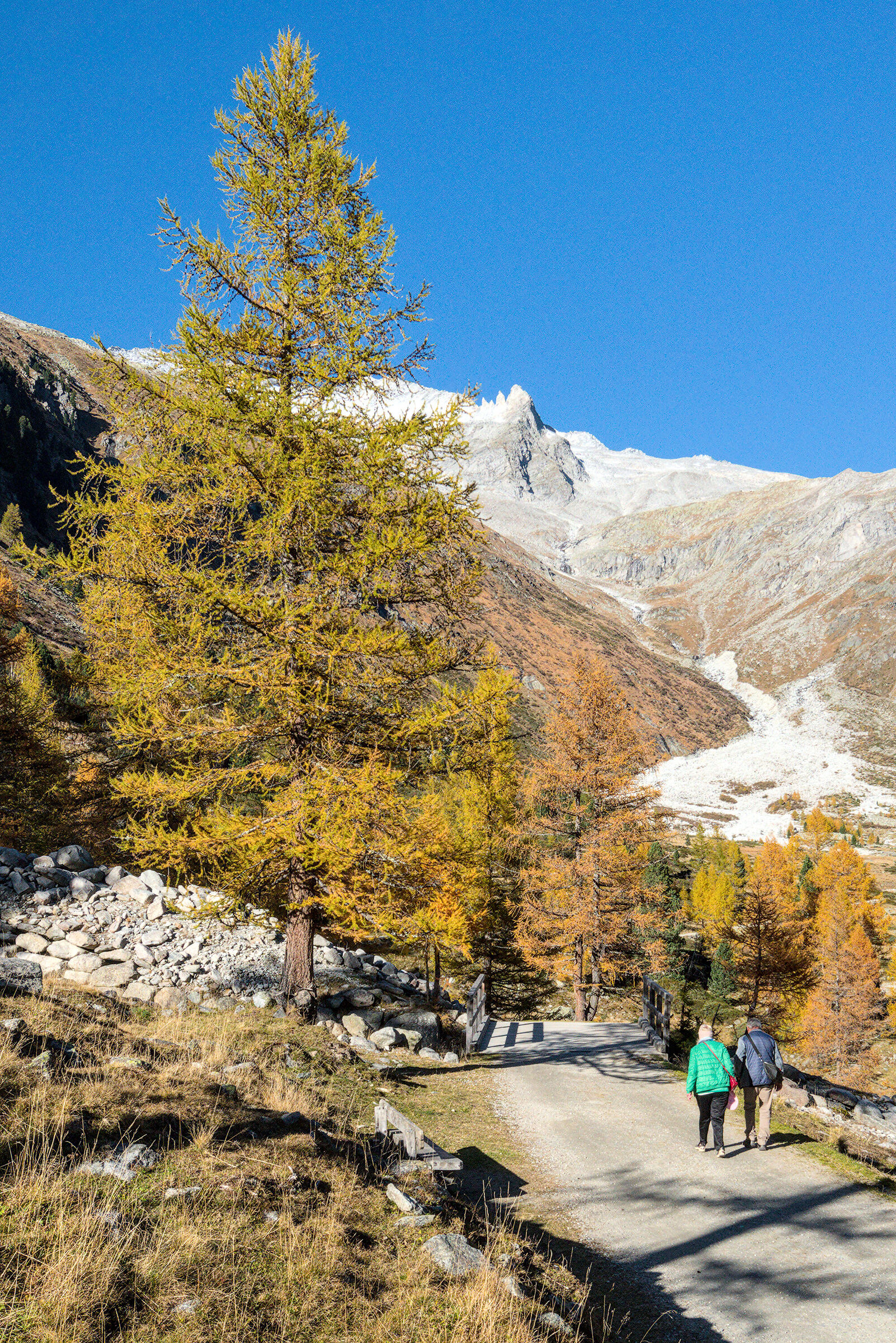 The Path Ahead, South Tyrol