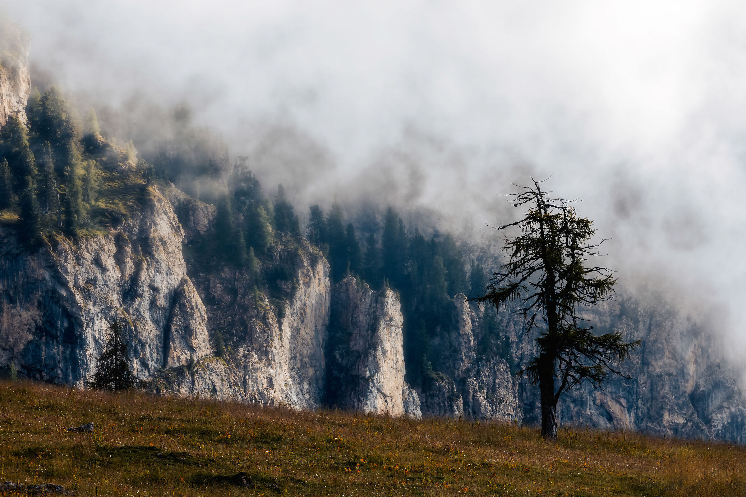 Along the slopes of the Latemar