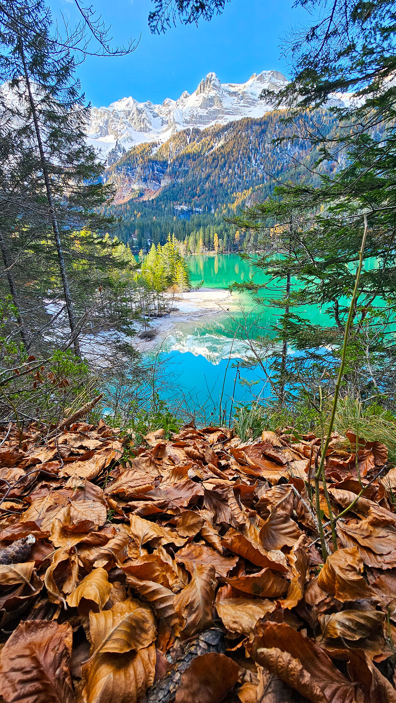 Autunno al lago di Tovel
