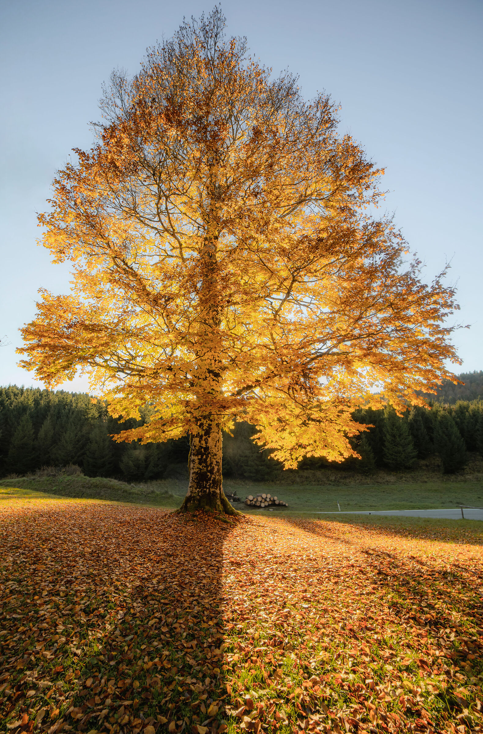 The right Place at the Right Time...