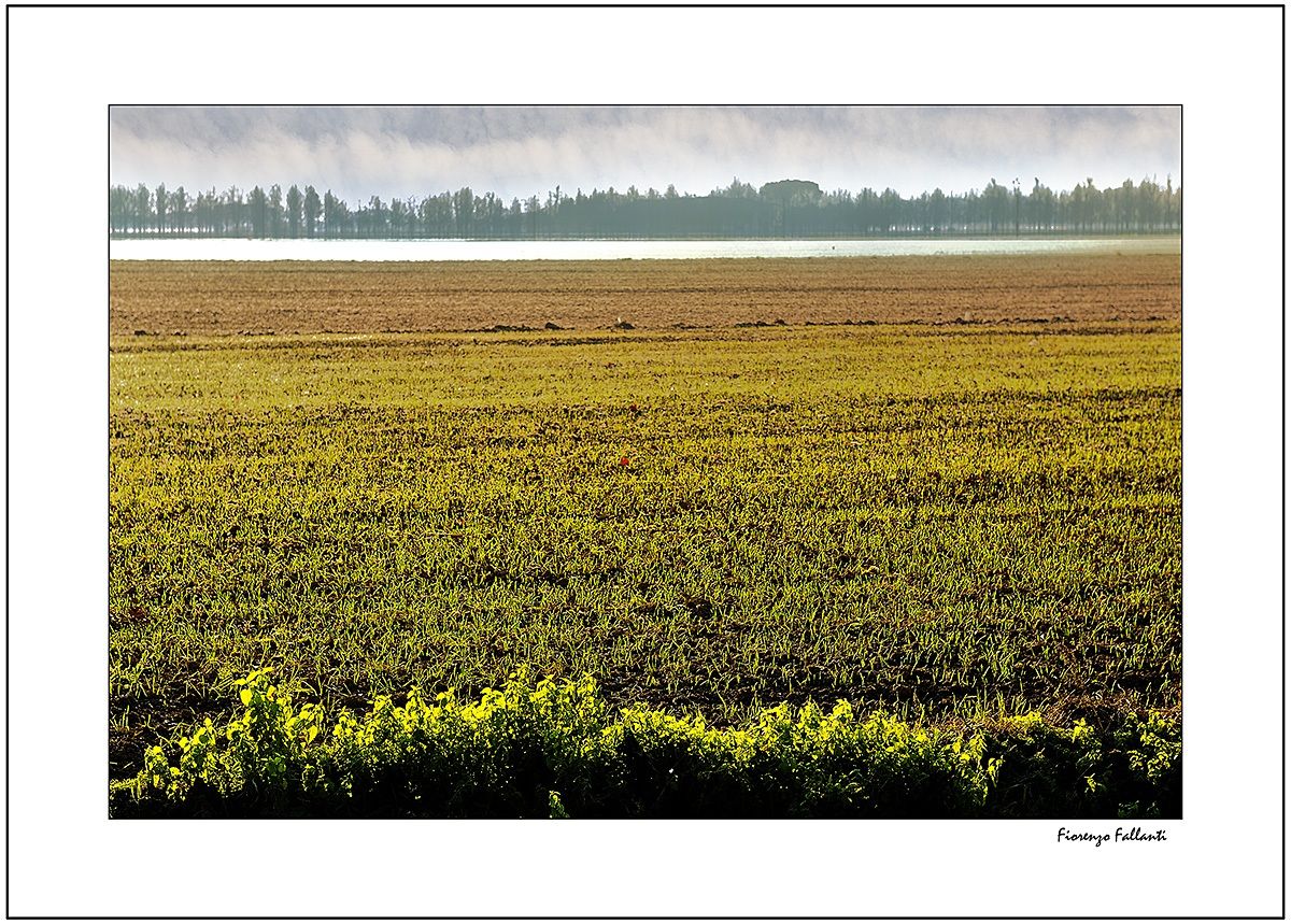 Mists morning in the suburbs .. ..