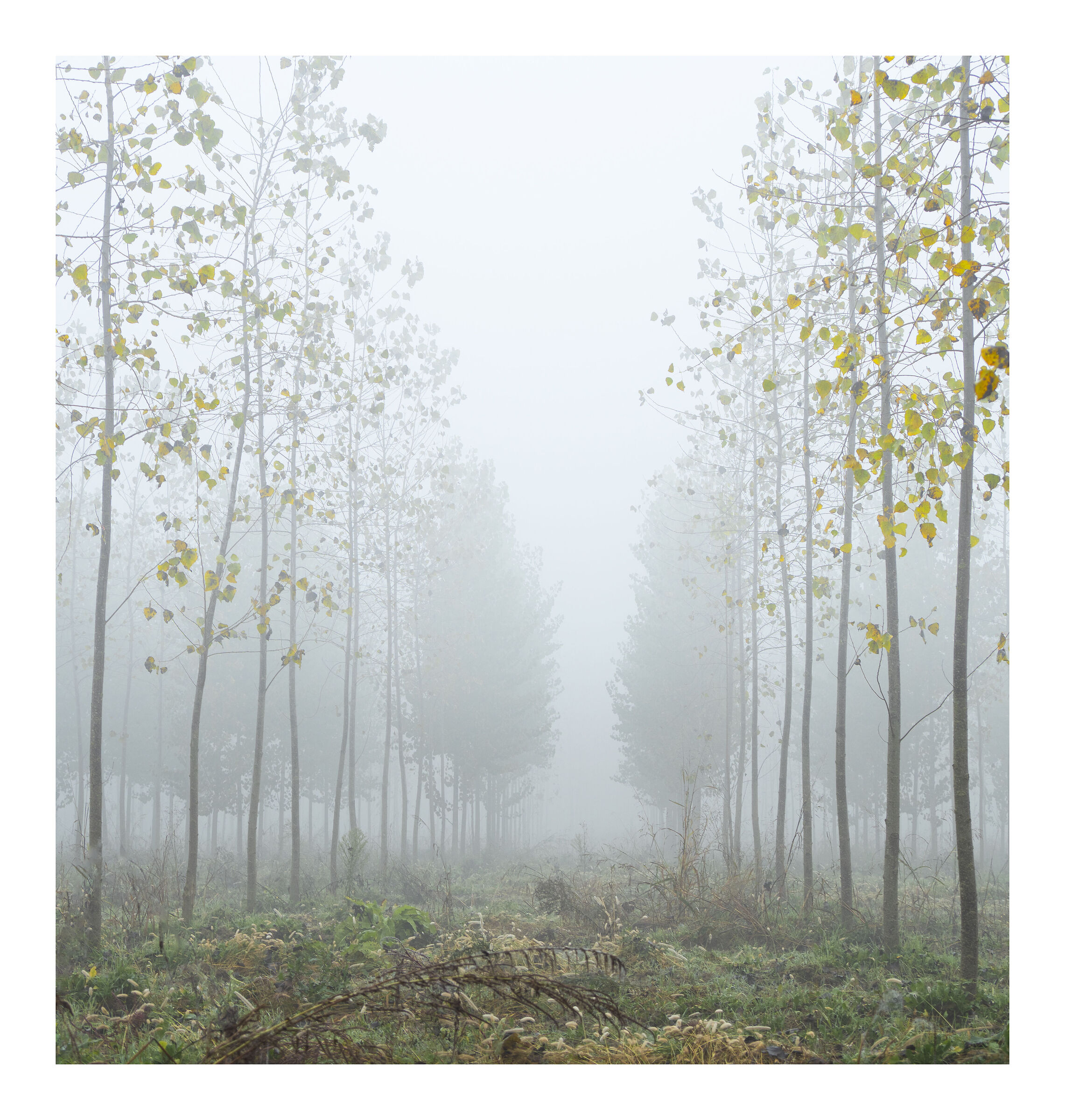 Campagne della Lombardia