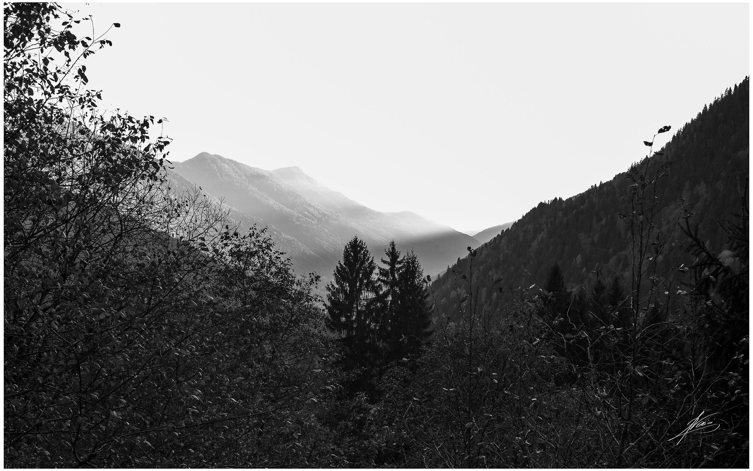 Black and white horizons
