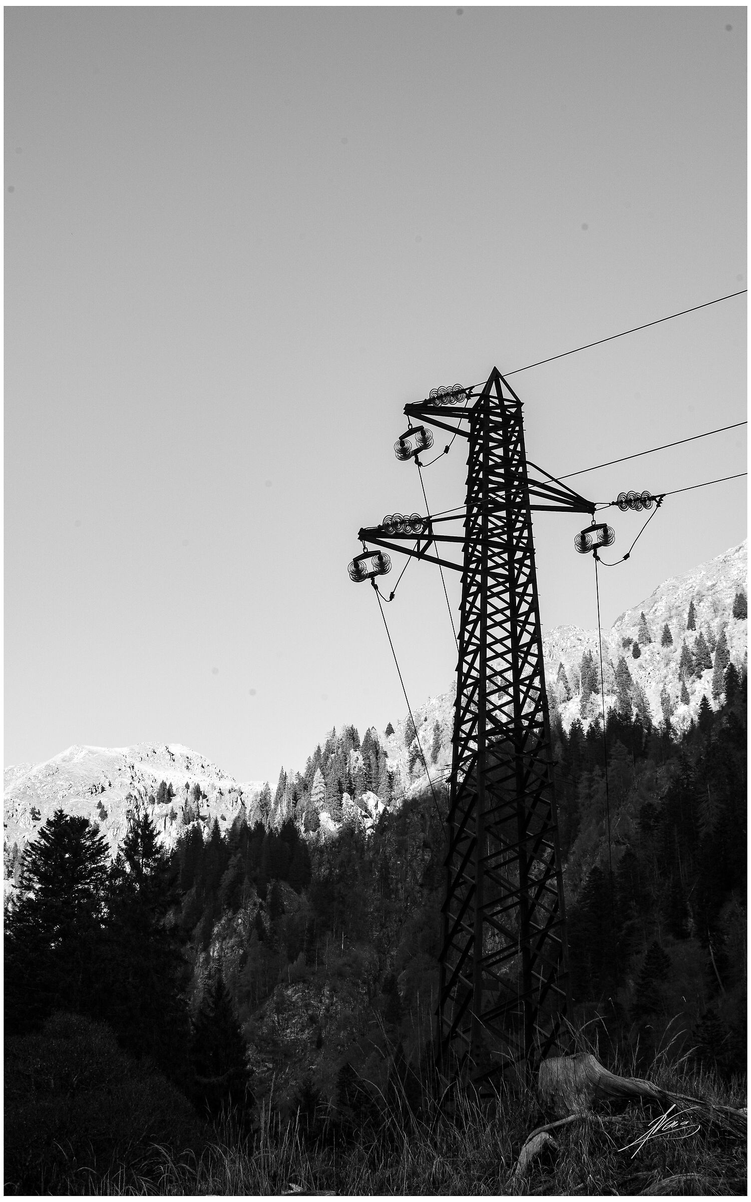 Untitled Photo