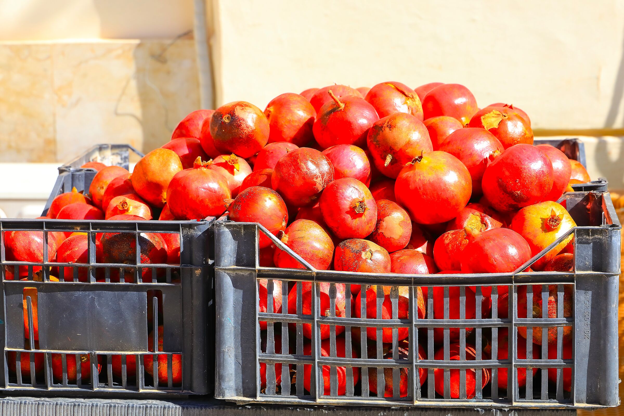 Melograni 05 ottobre 2025 - 0148