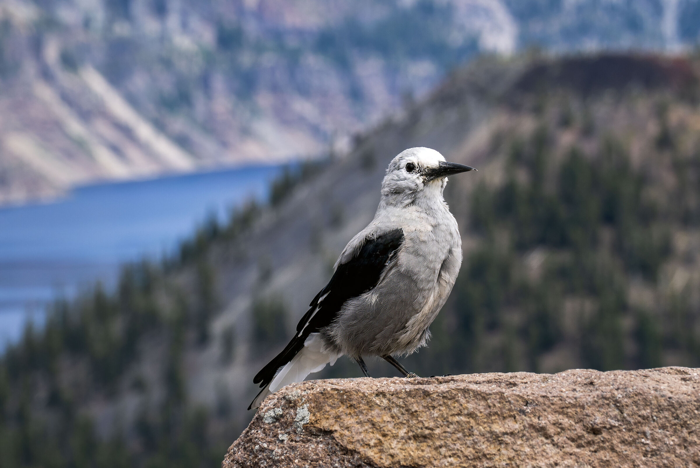Crater Lake National Park