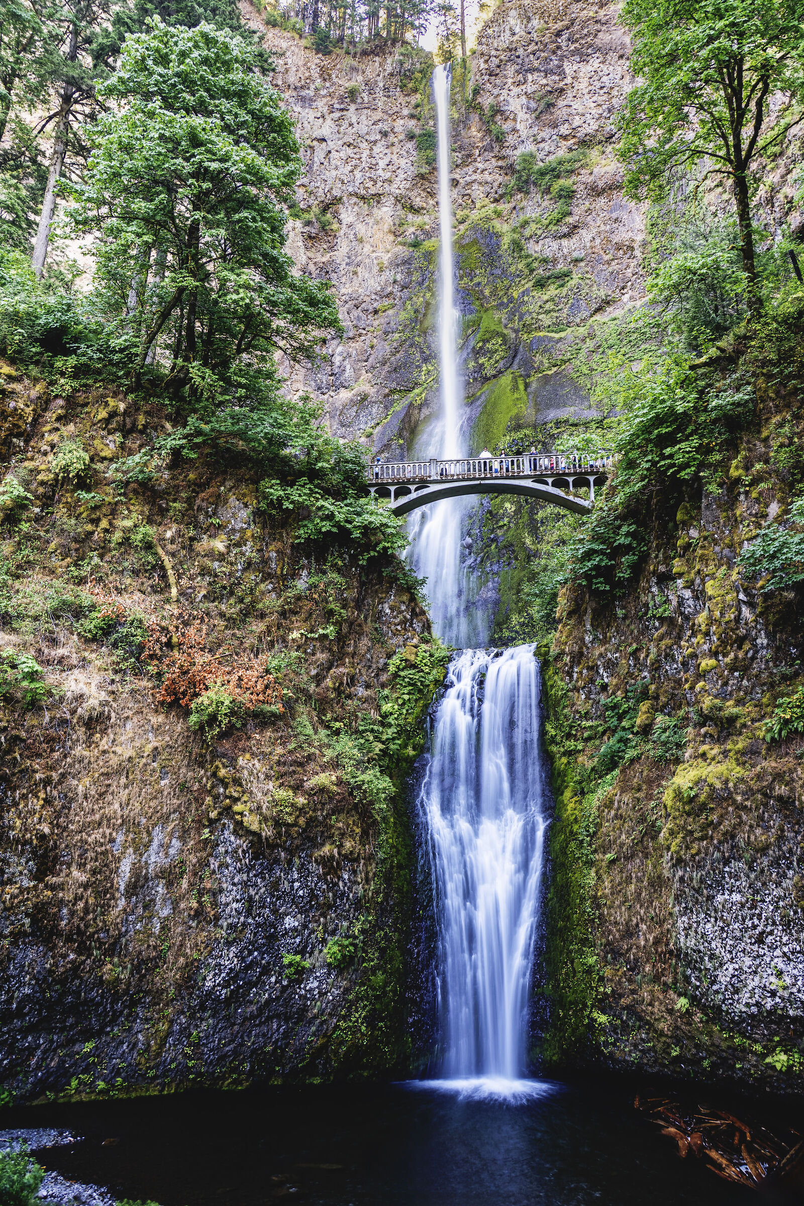 Cascate Multnomah - Oregon