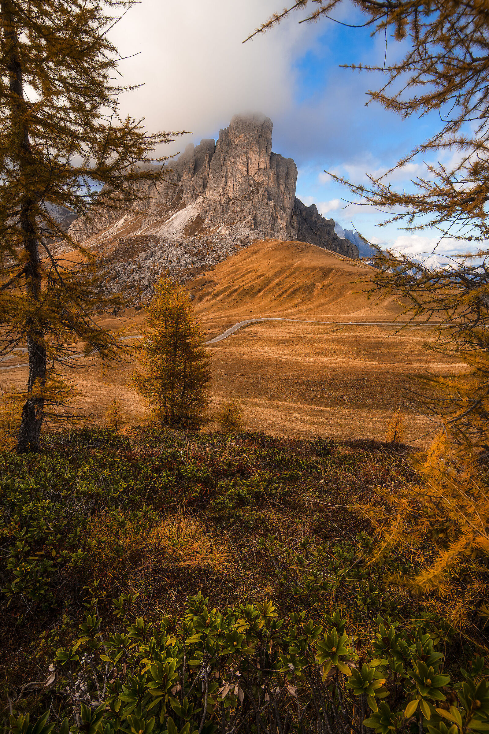 Glimpse of autumn