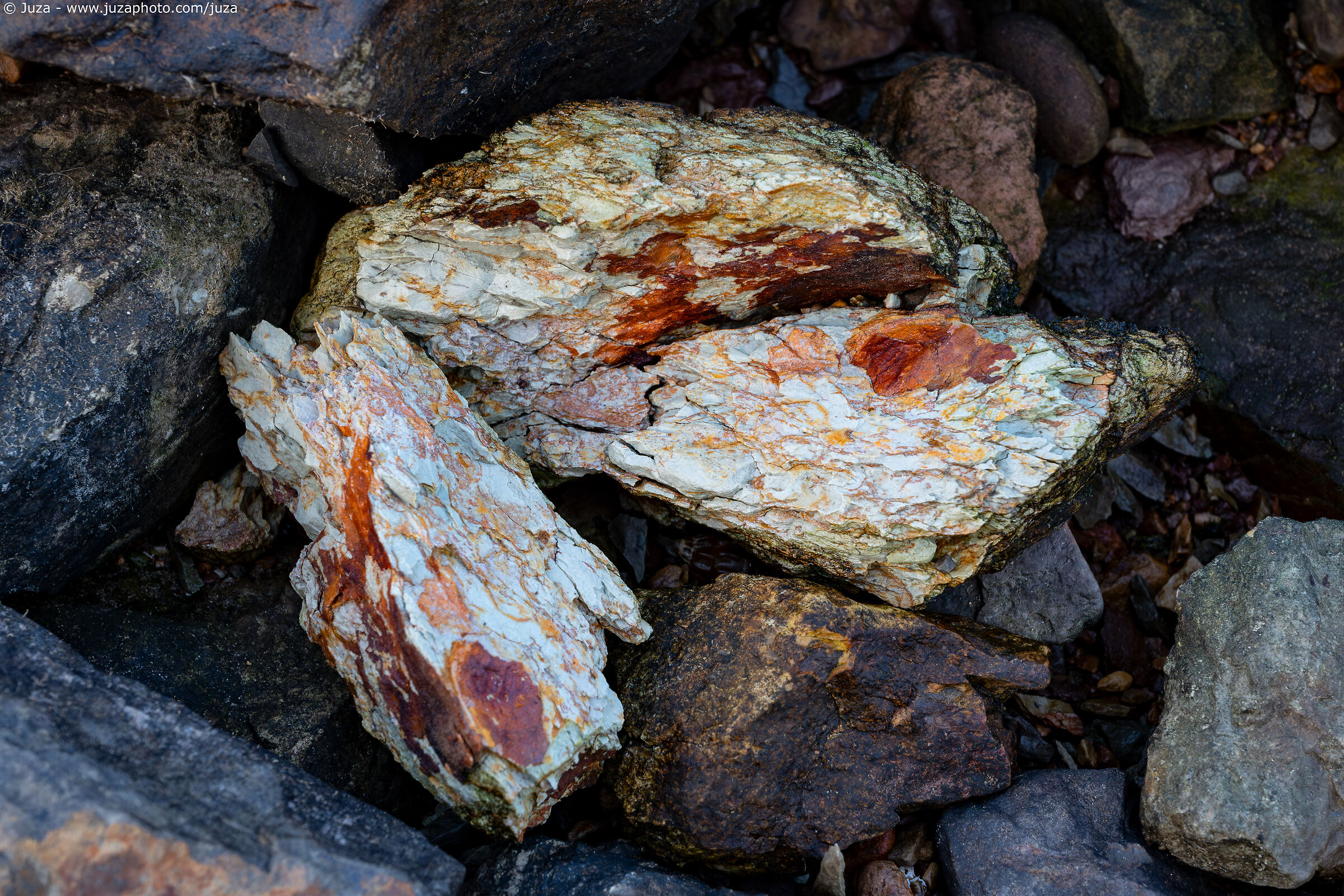 Abstracts of China #11