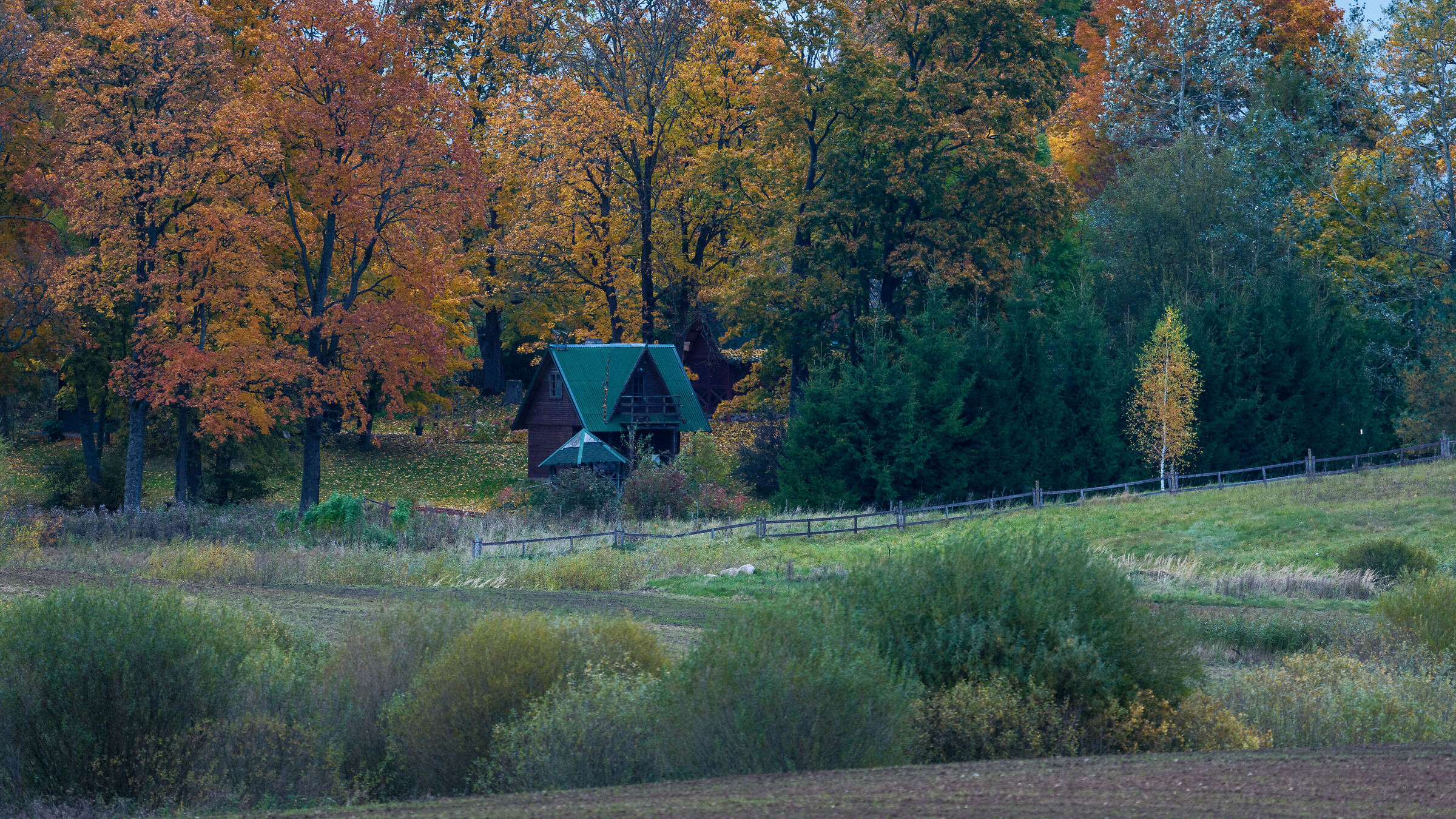 Autumn colors