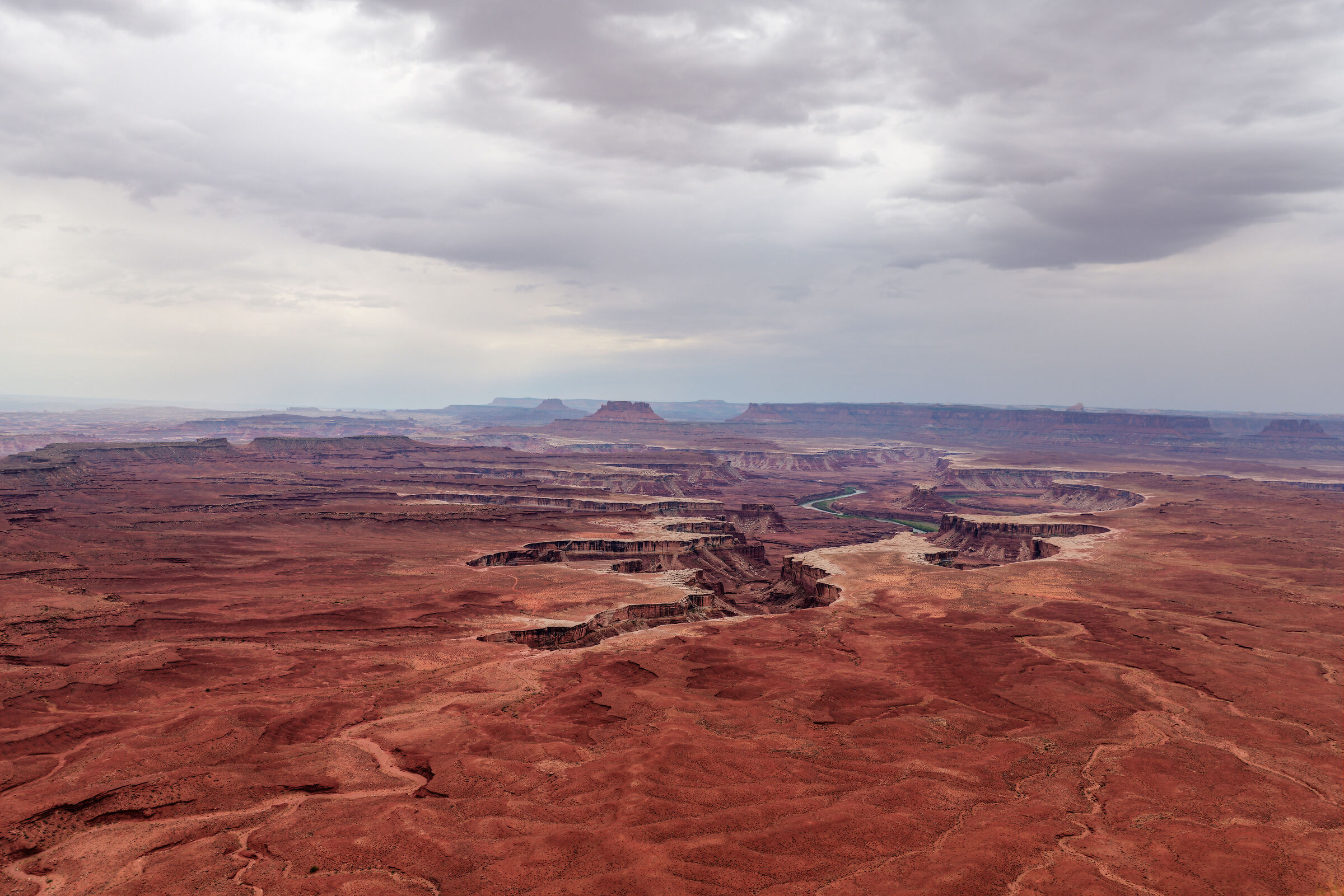 Canyonlands - Island in the sky