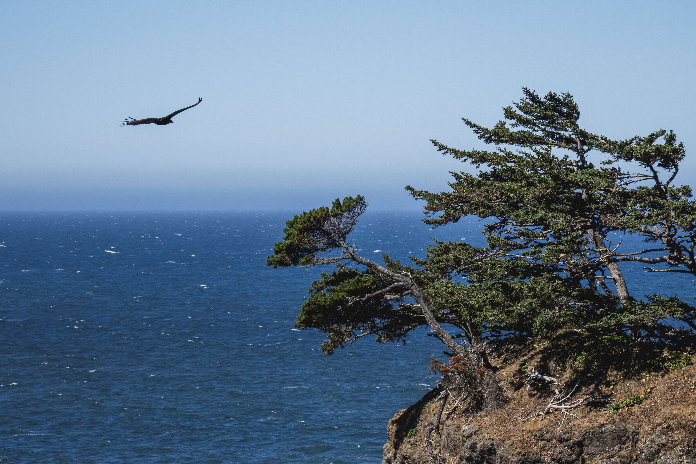 Oregon coast