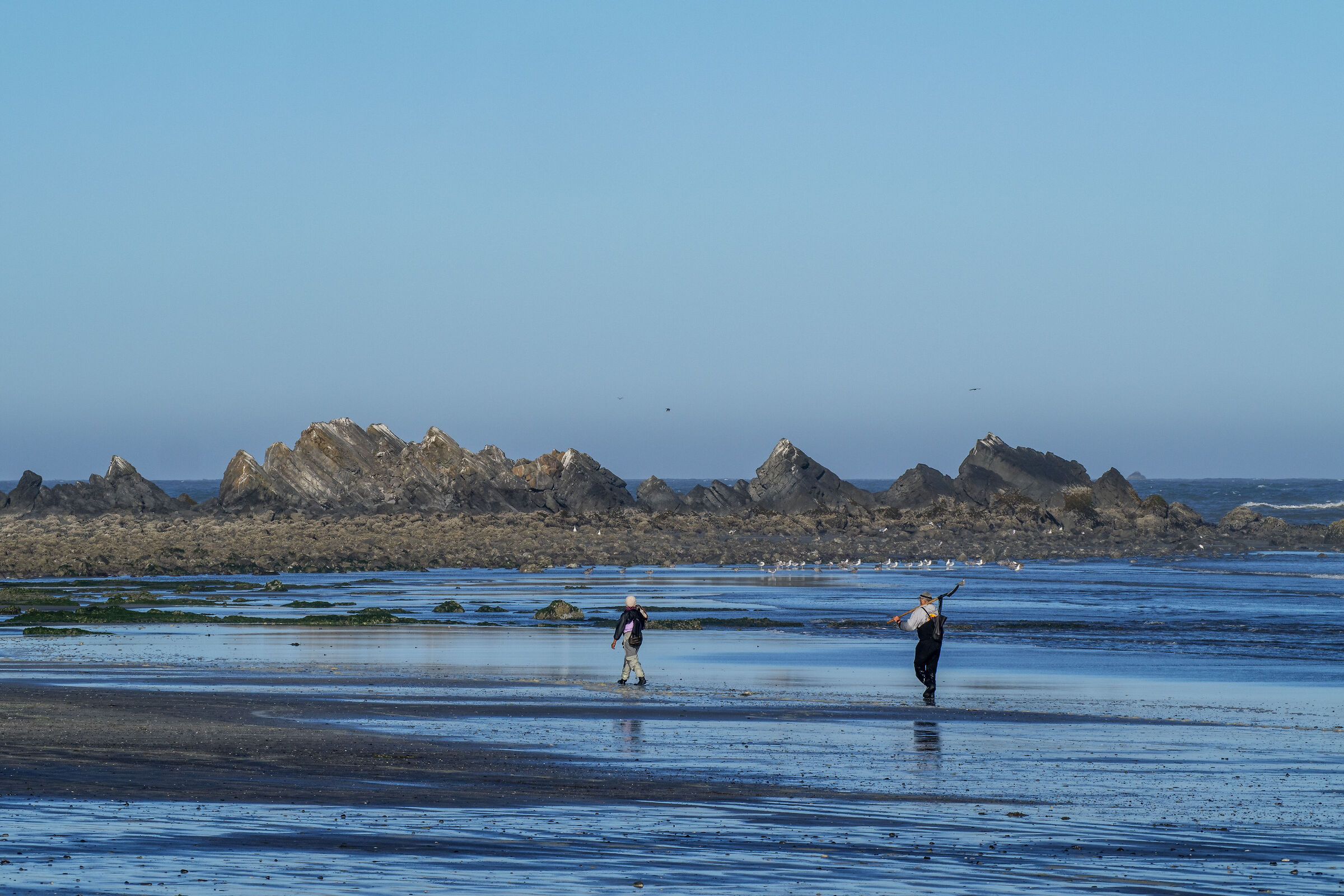 Oregon coast