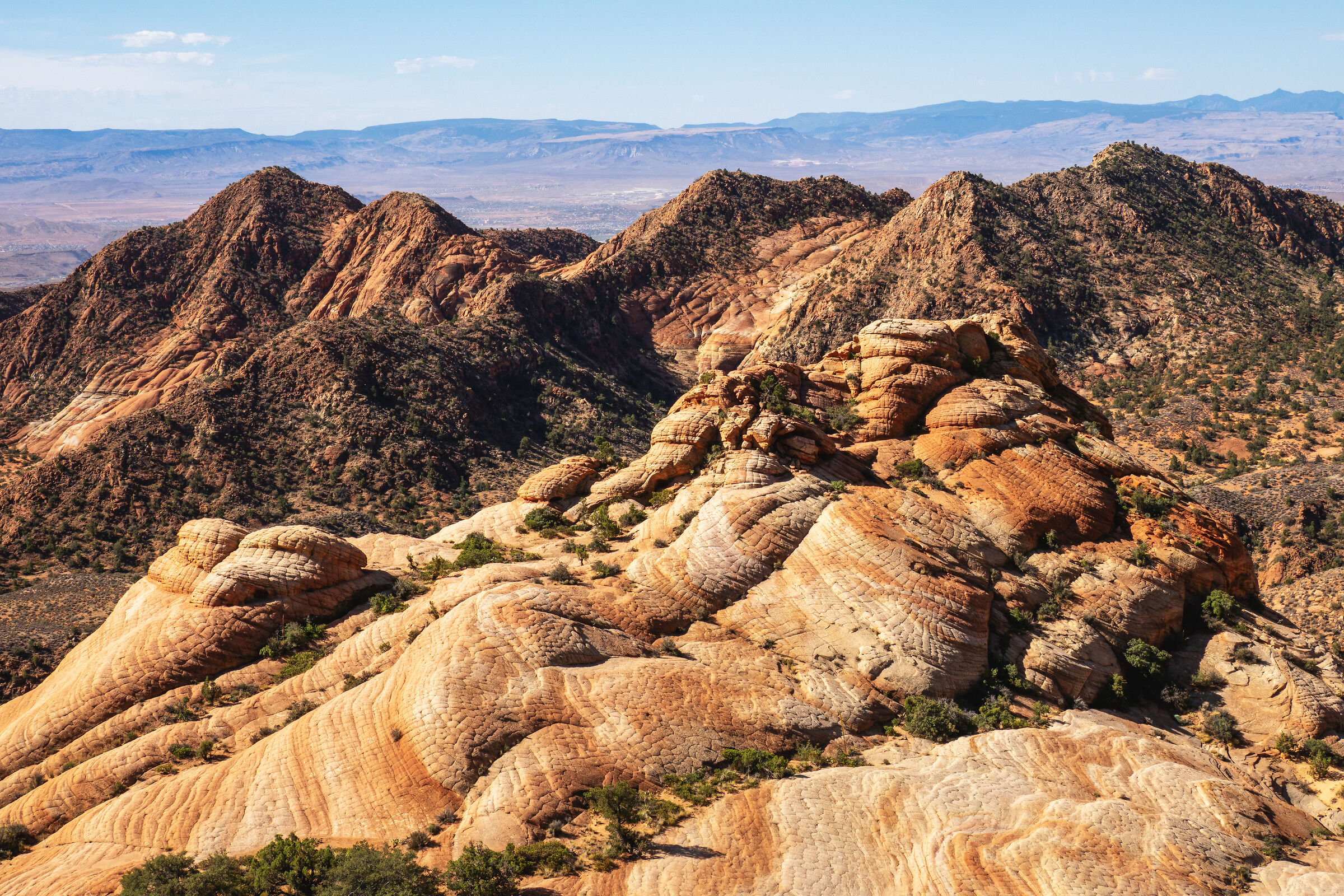 Yant Flat - Utah