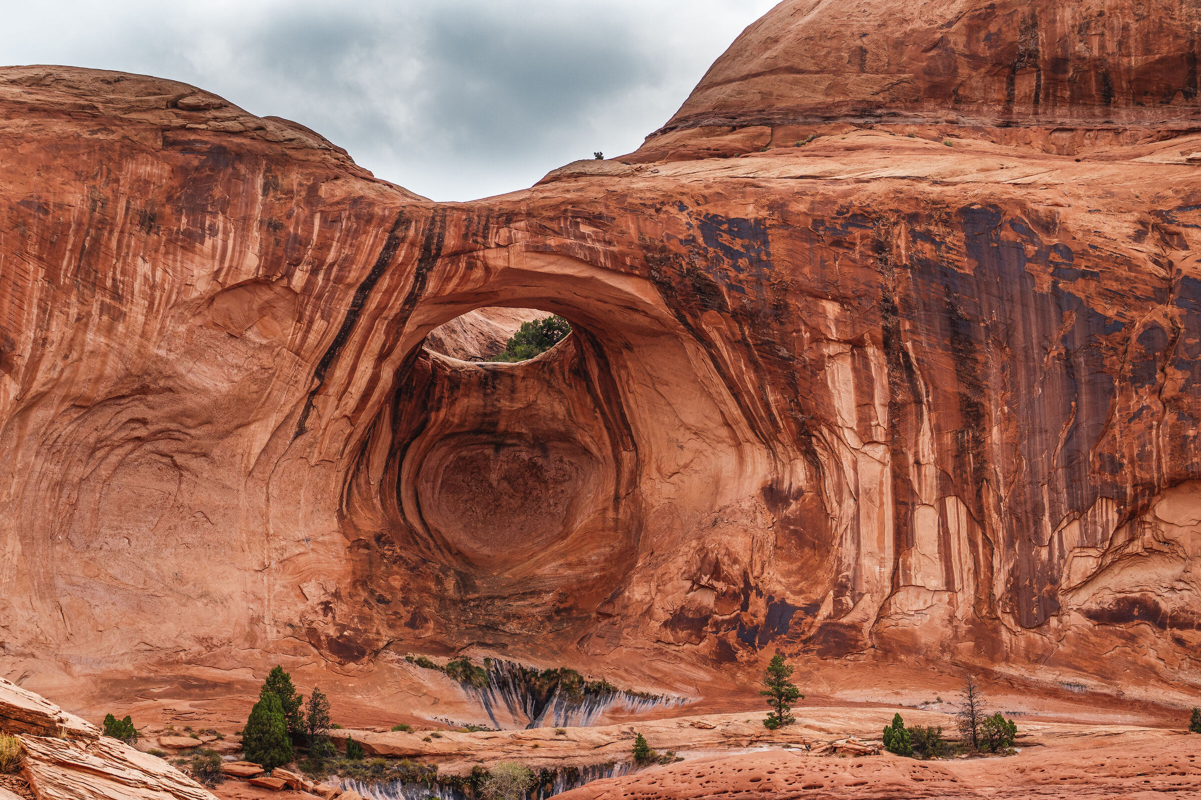 Pinto Arch - Utah