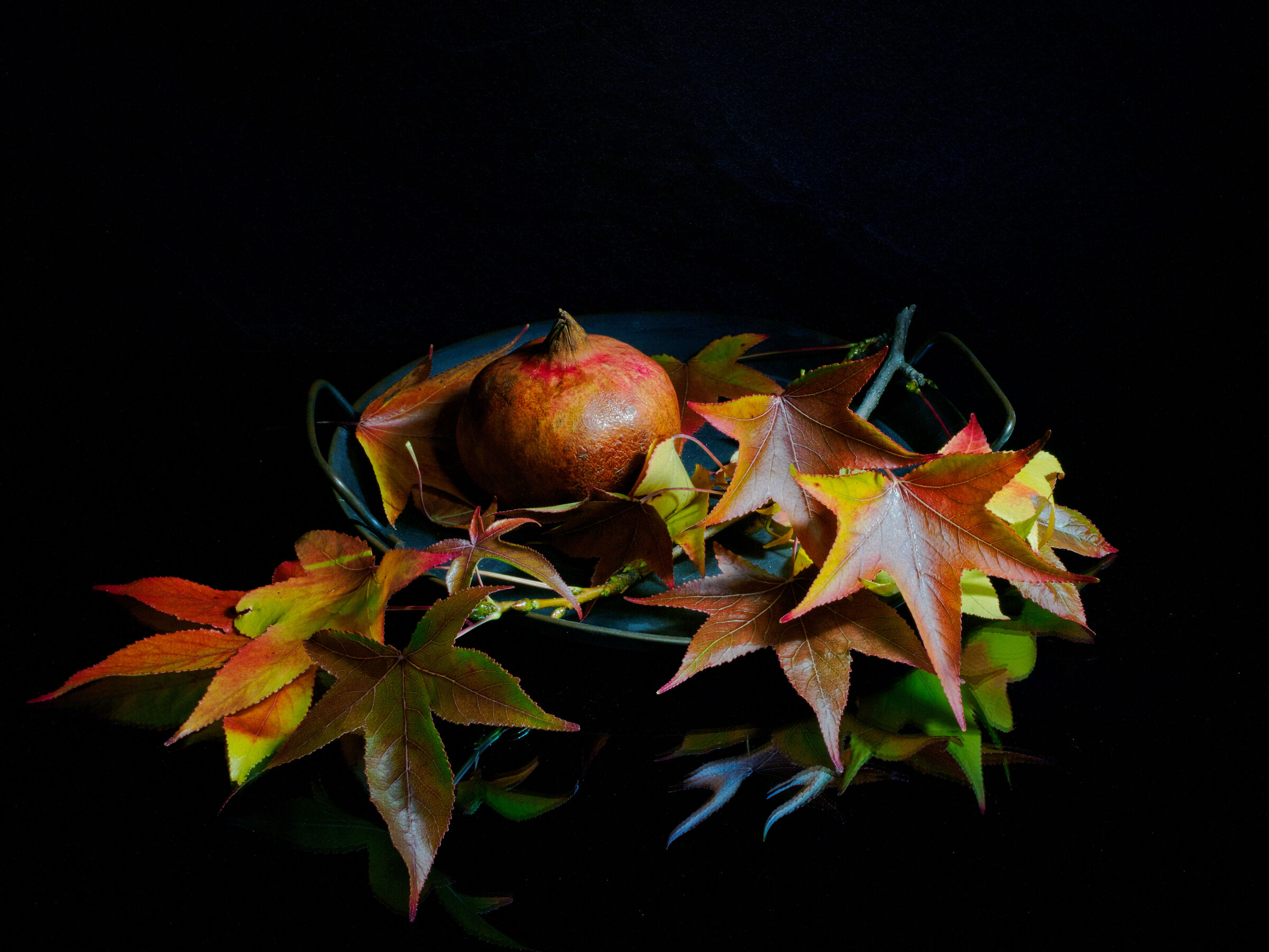 Melograno tra le foglie