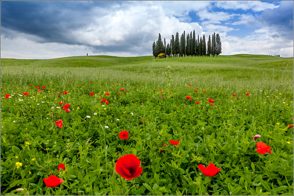 S. Quirico d'Orcia