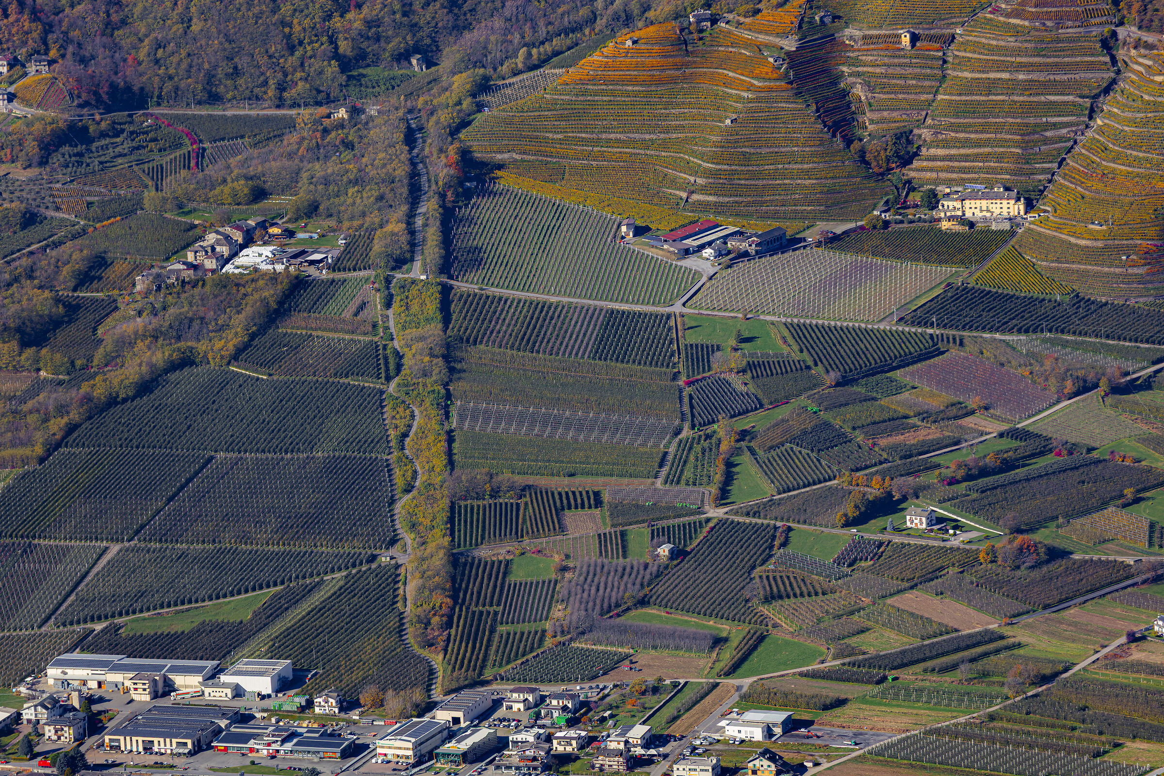 Dettagli in Valtellina