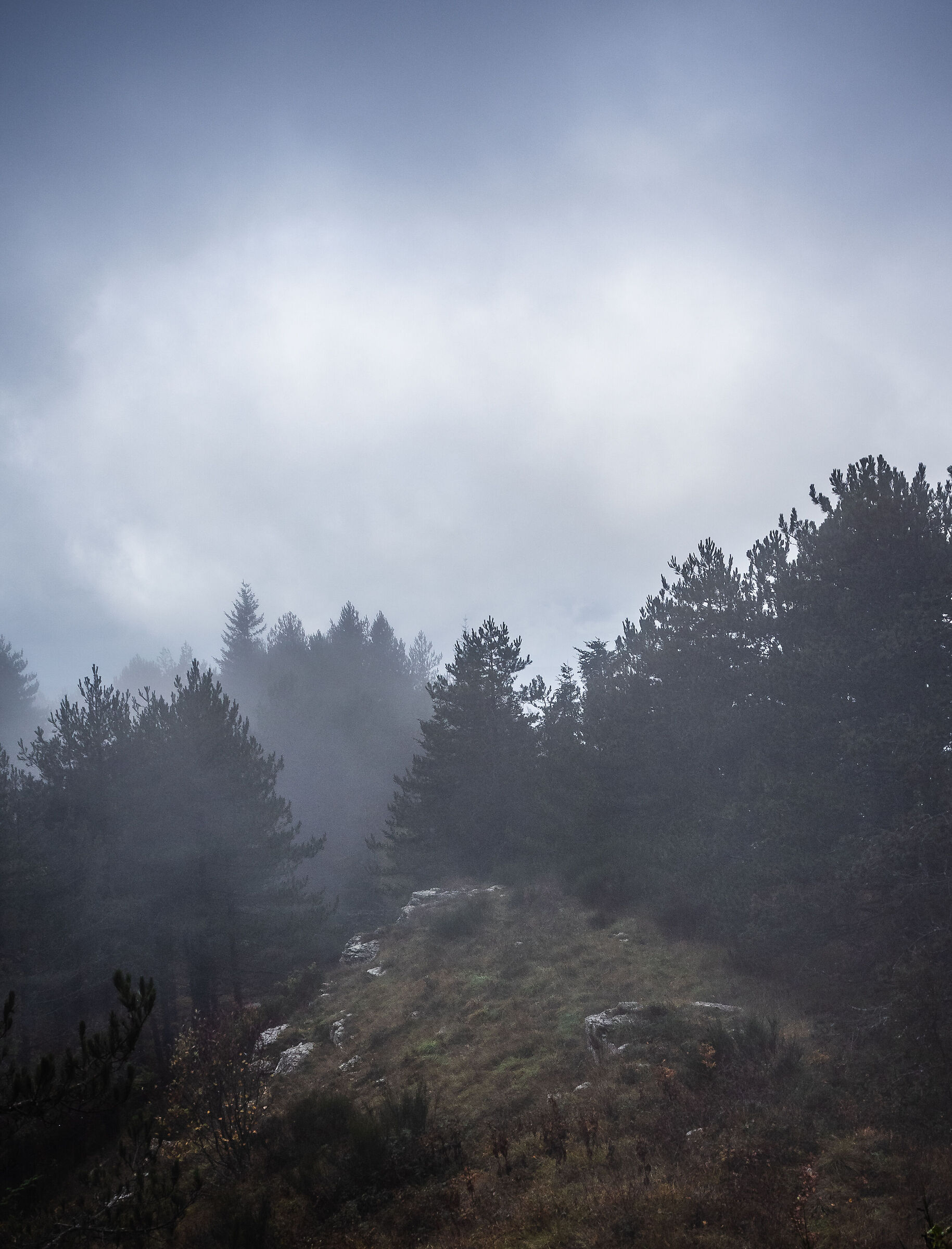 Autumn walk in the mountains
