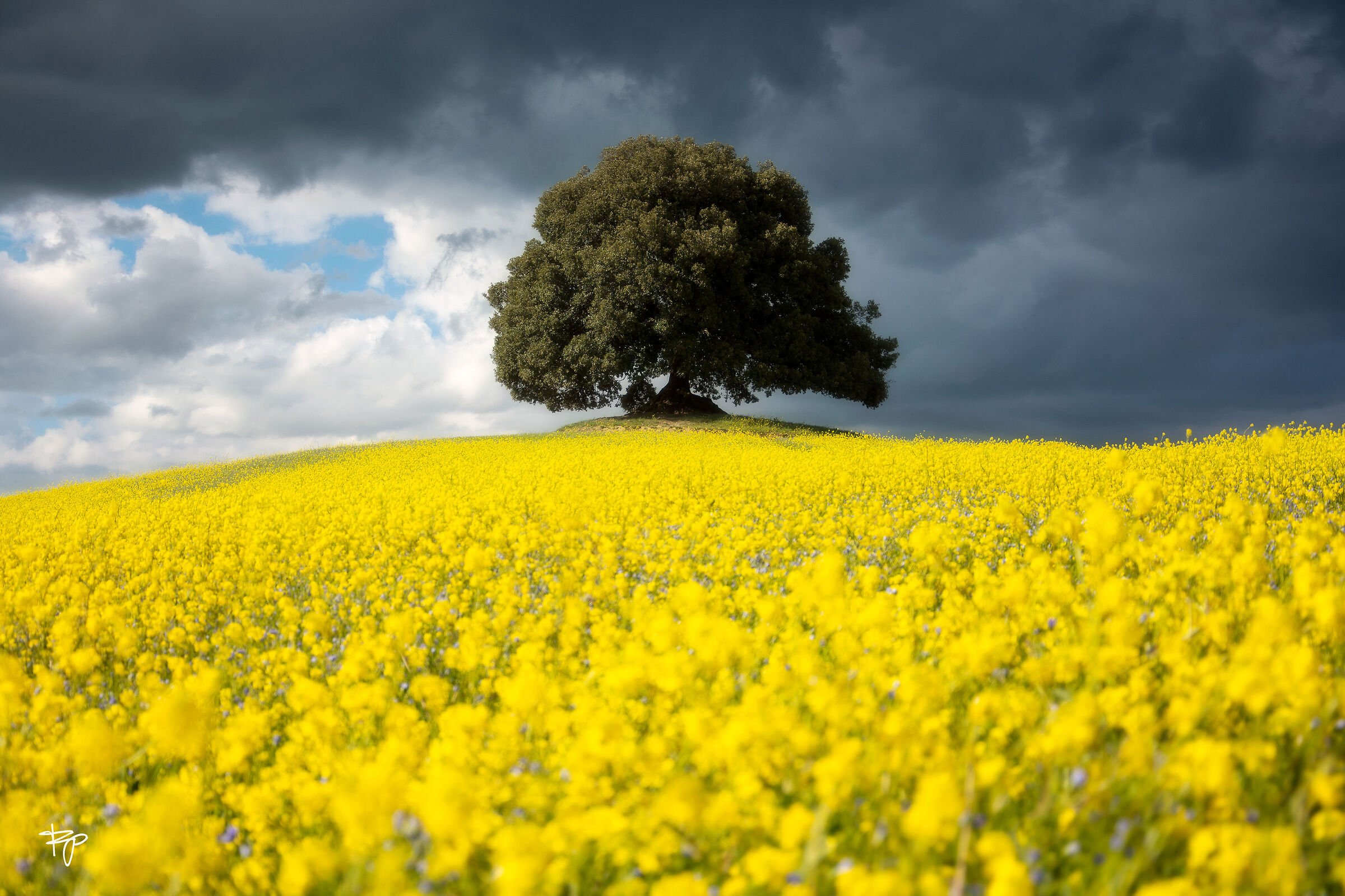 Ricordi di primavera