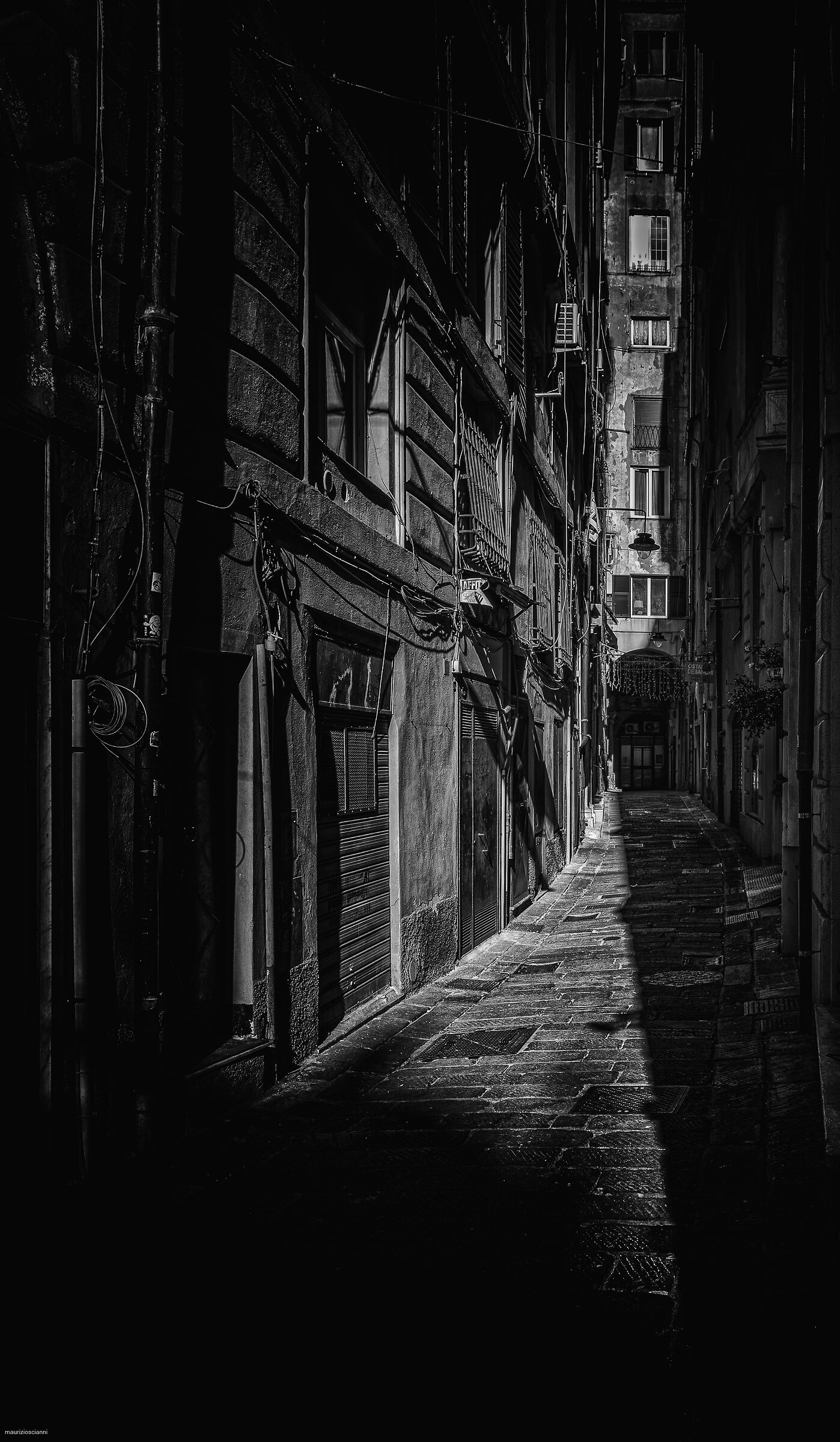 "y love caruggi".. Genoa