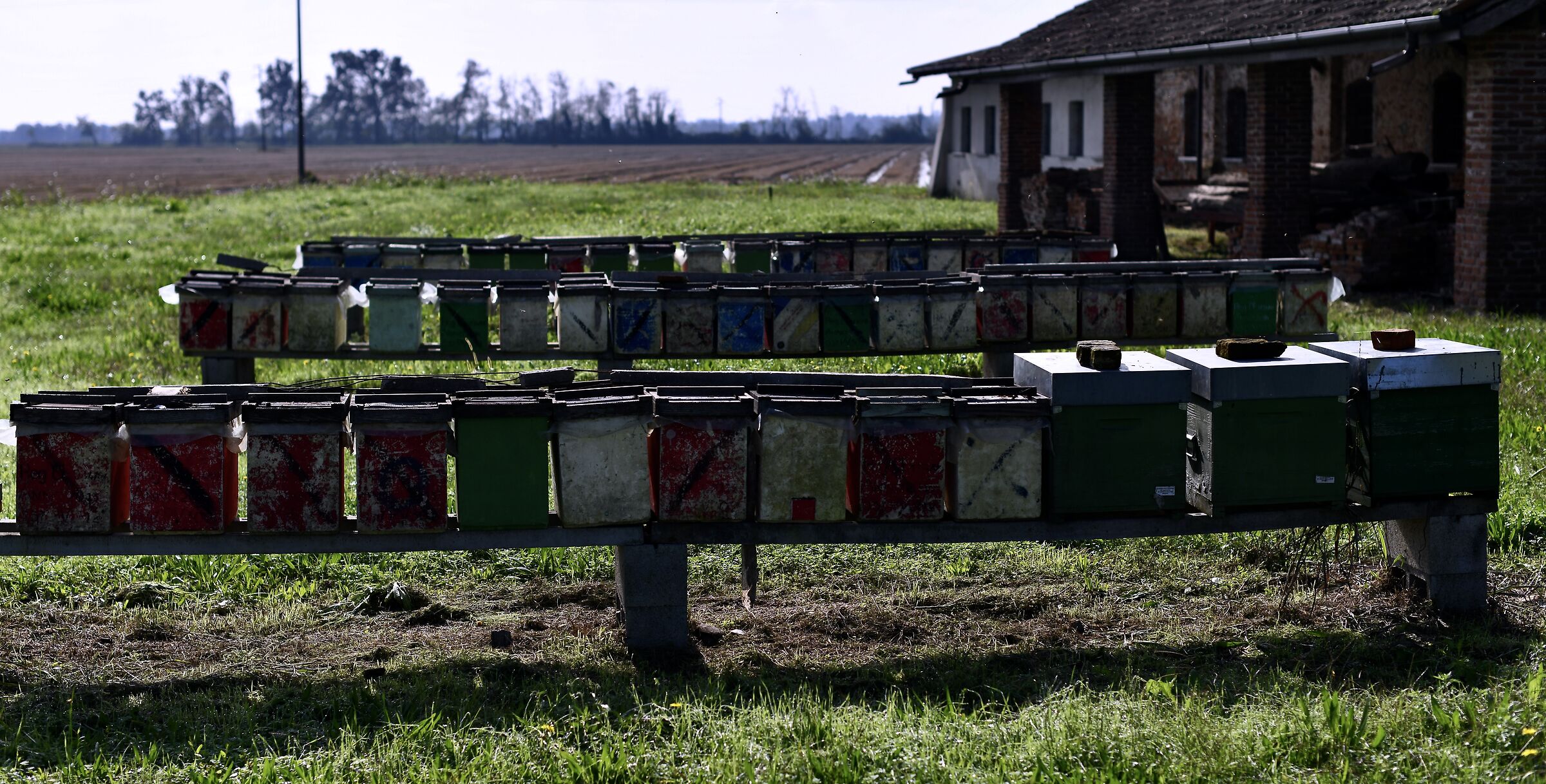 I am looking for a house