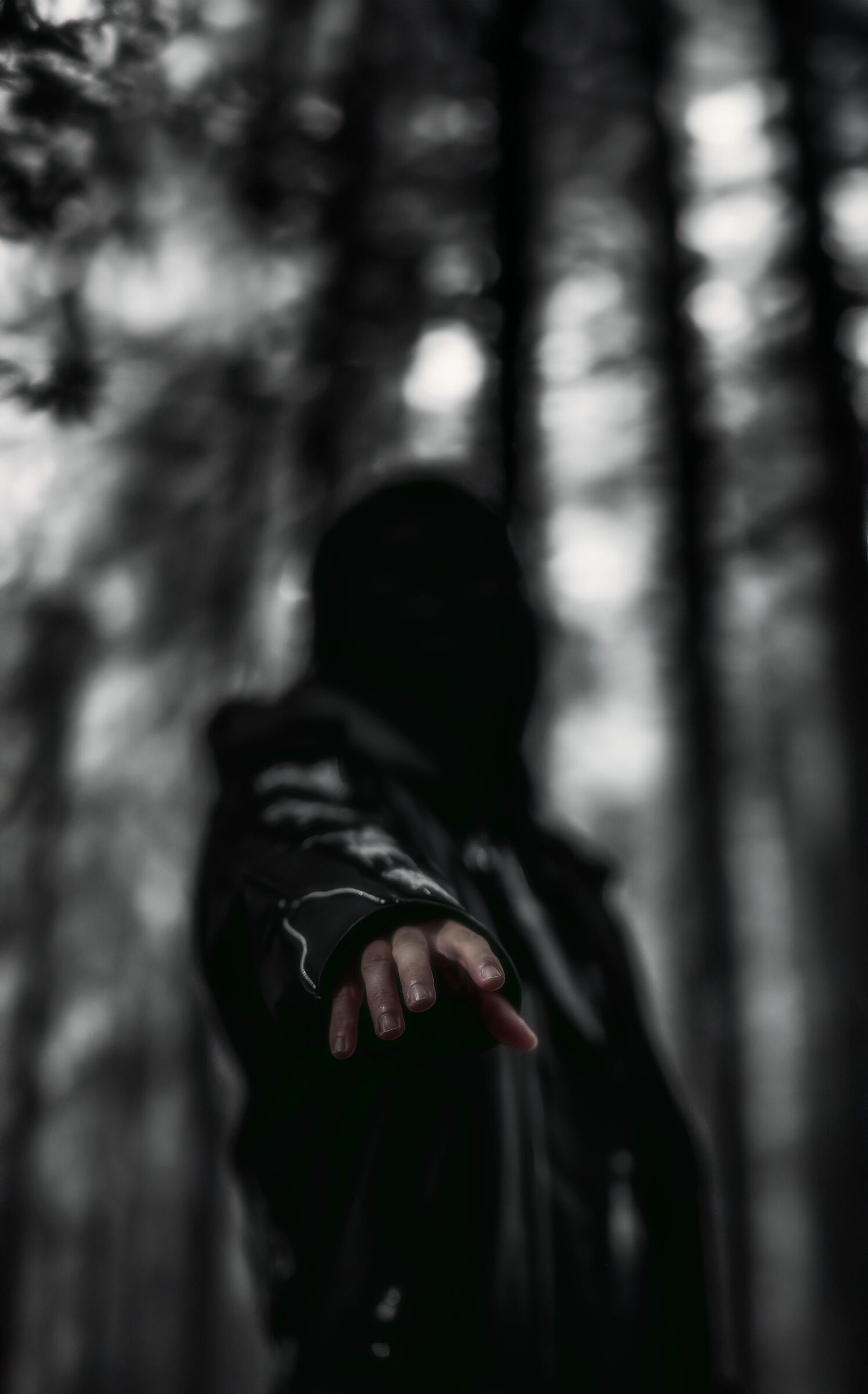 Untitled Photo