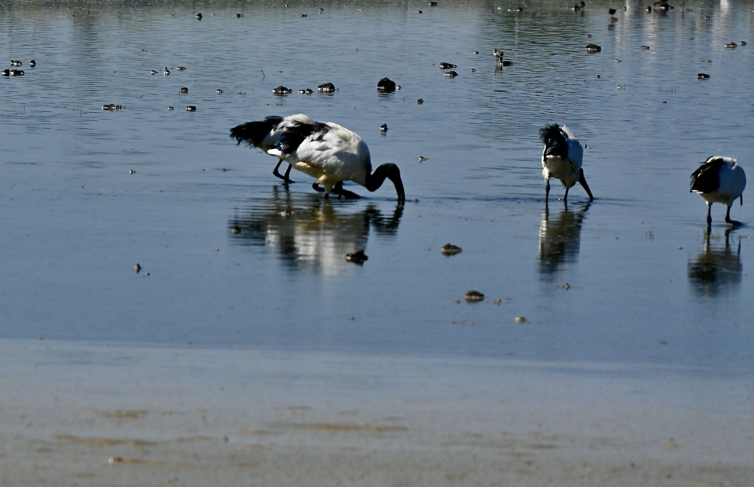 Hunger... it's hunger