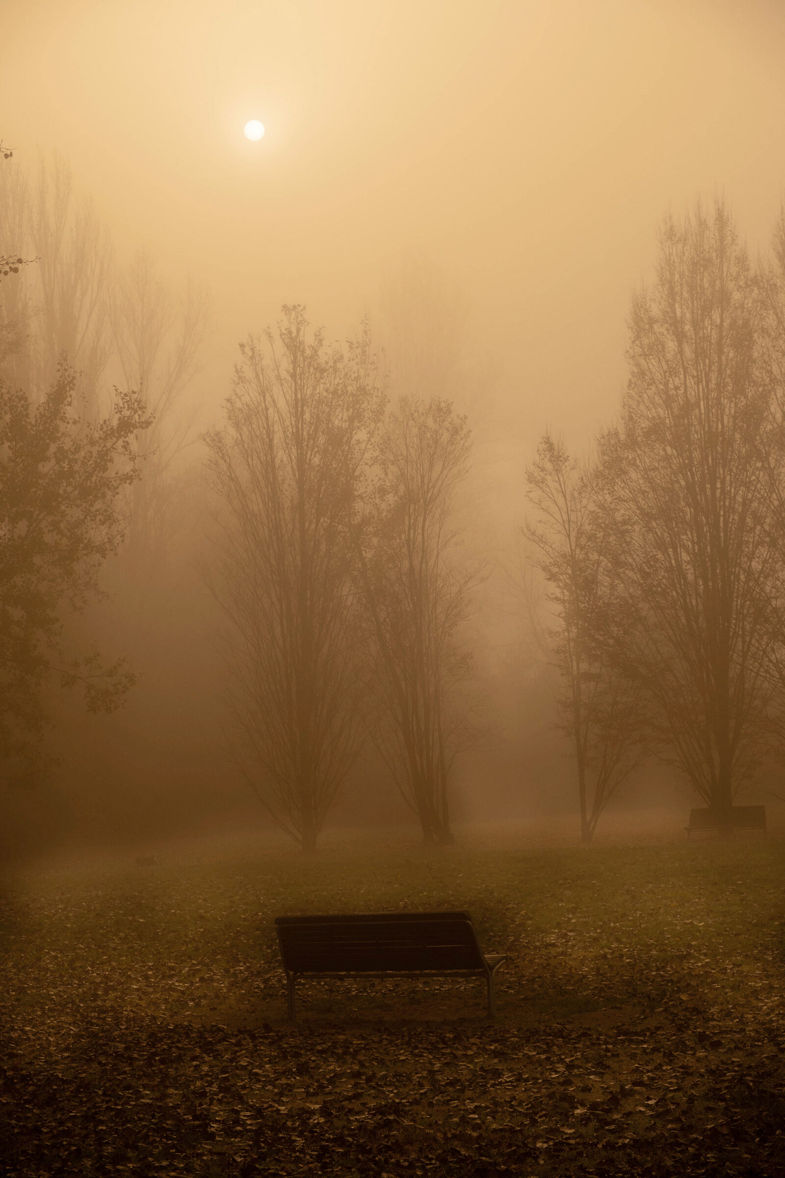 The sun beyond the fog