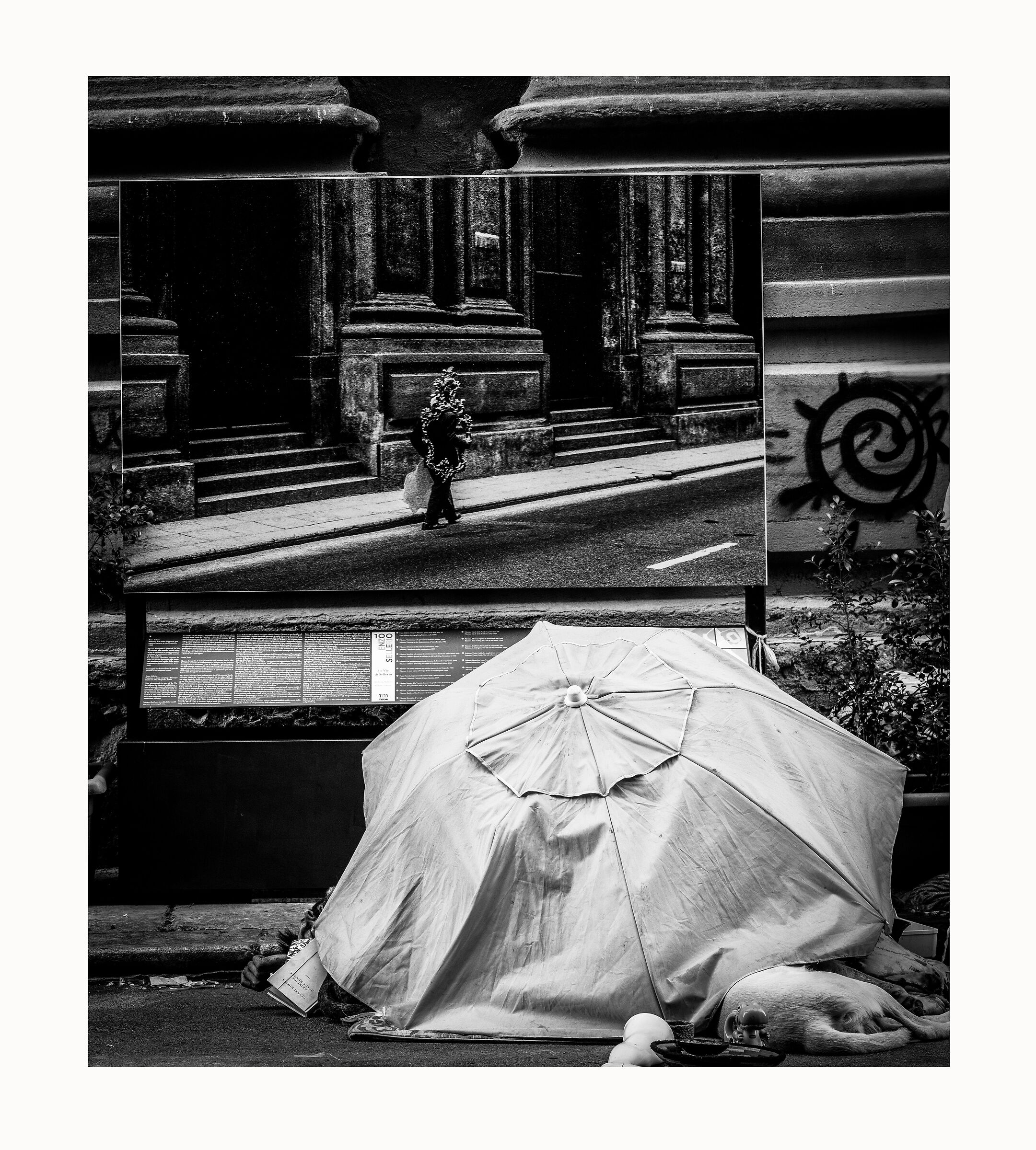 Untitled Photo