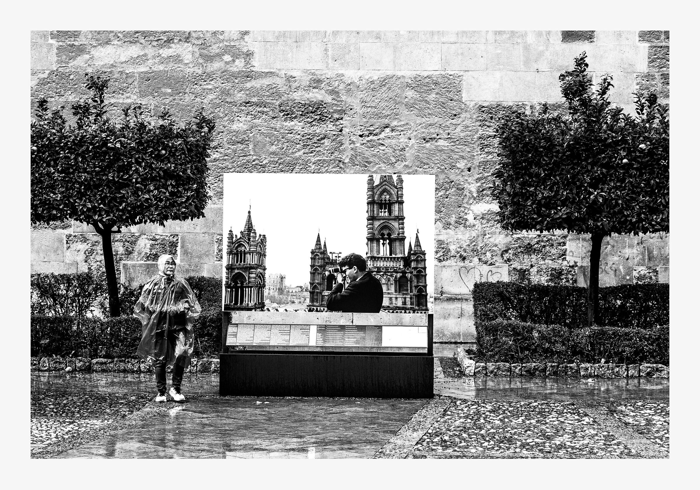Untitled Photo