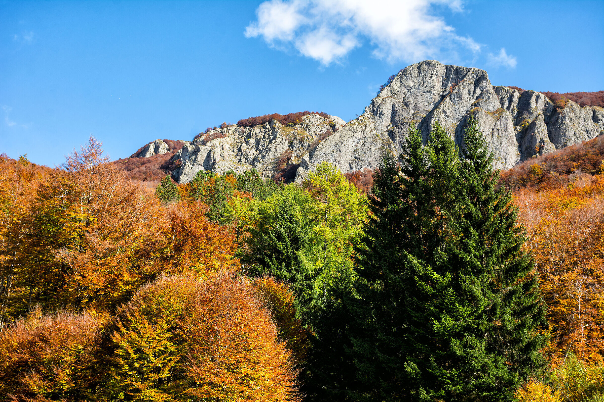 Autumn at the Rocca del Prete
