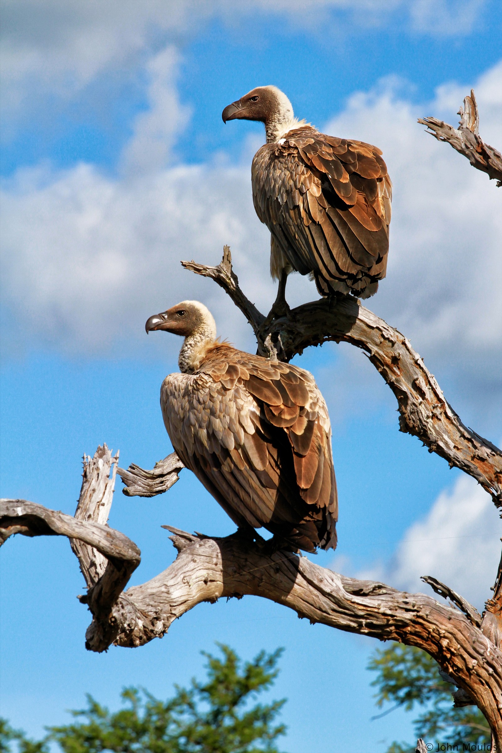 waiting their turn...