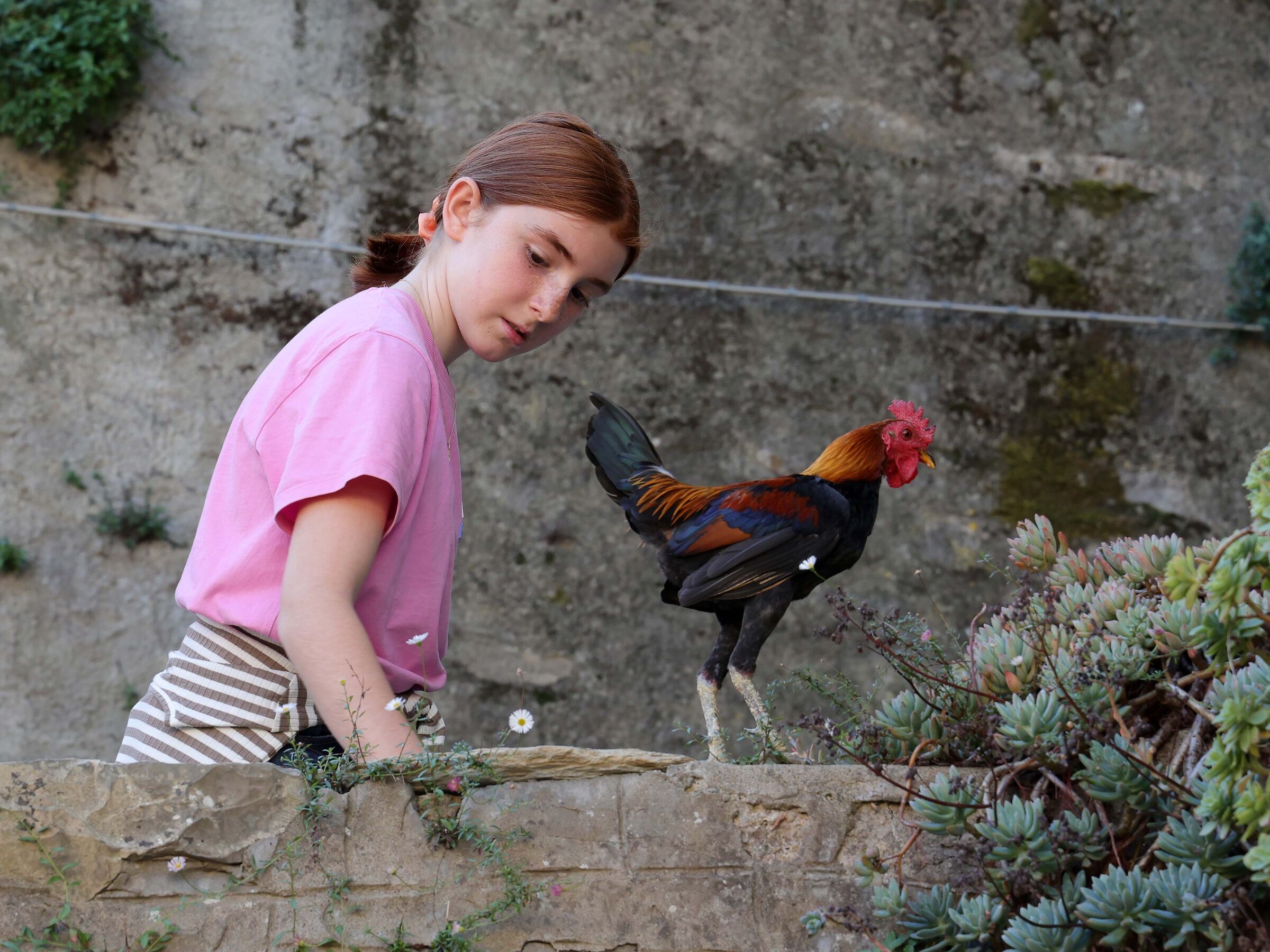 ... he was a bit of a rooster...